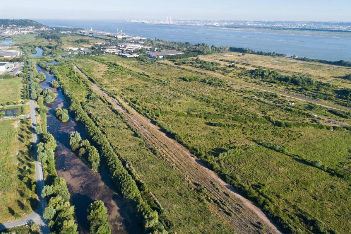 20180626-DJI_0459.2.jpg