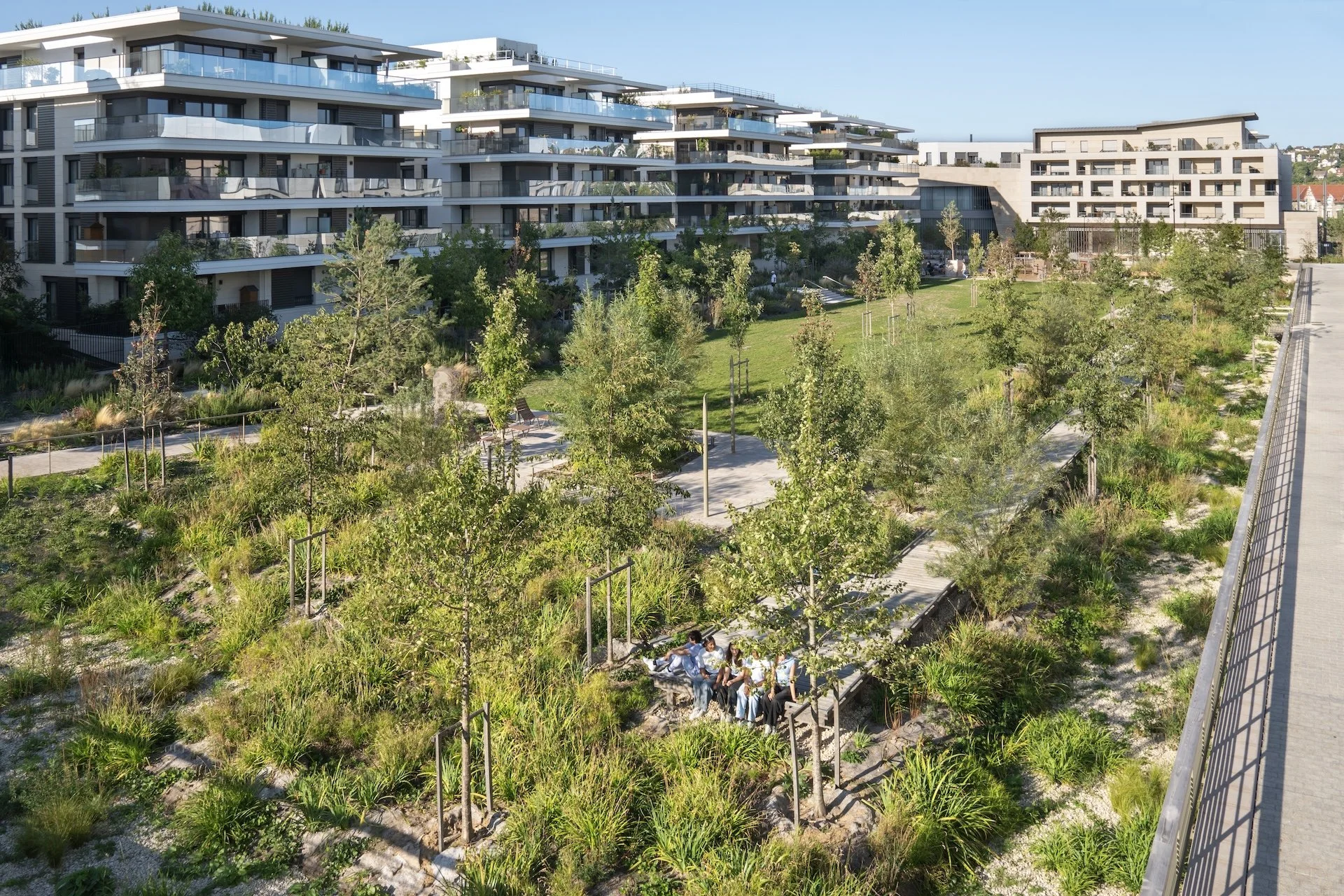 DSC06559 copie 2.jpg