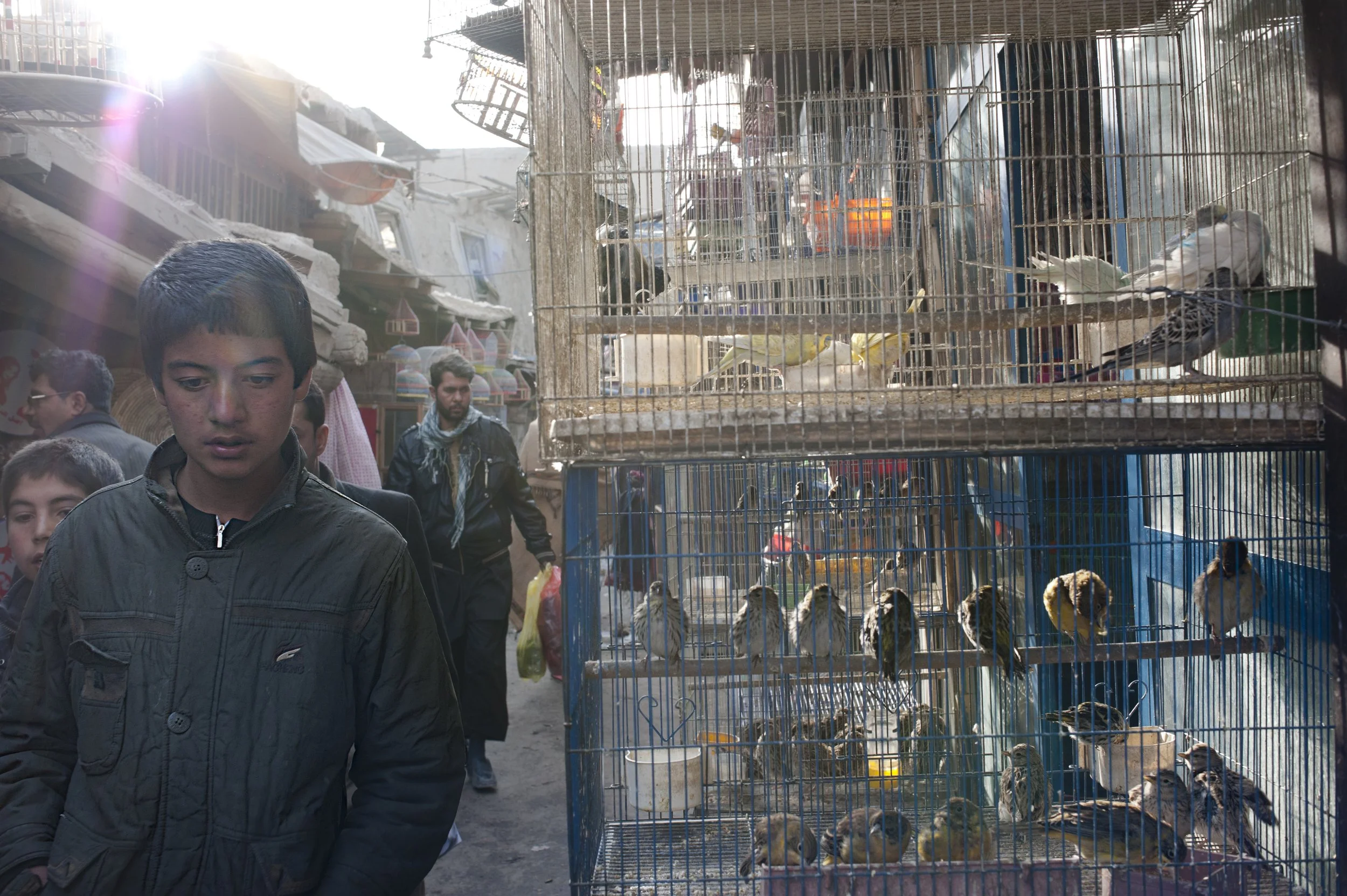 Bird's market, Kabul 2012 A boy walking through the bird’s market on a sunny day. Banned during the Taliban regime, nowadays this place has recovered its charm. A market is dedicated to selling birds: songbirds ,racing birds, fighters”