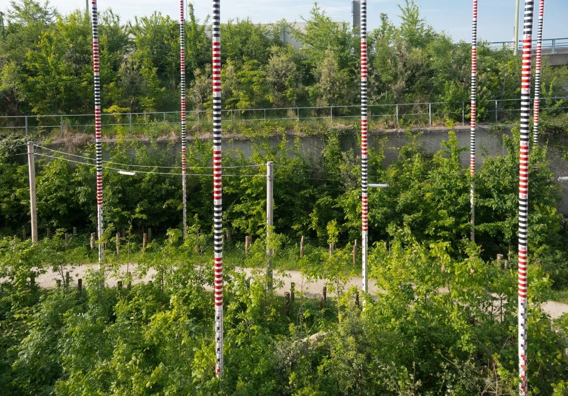 20170505-DSC01565.jpg