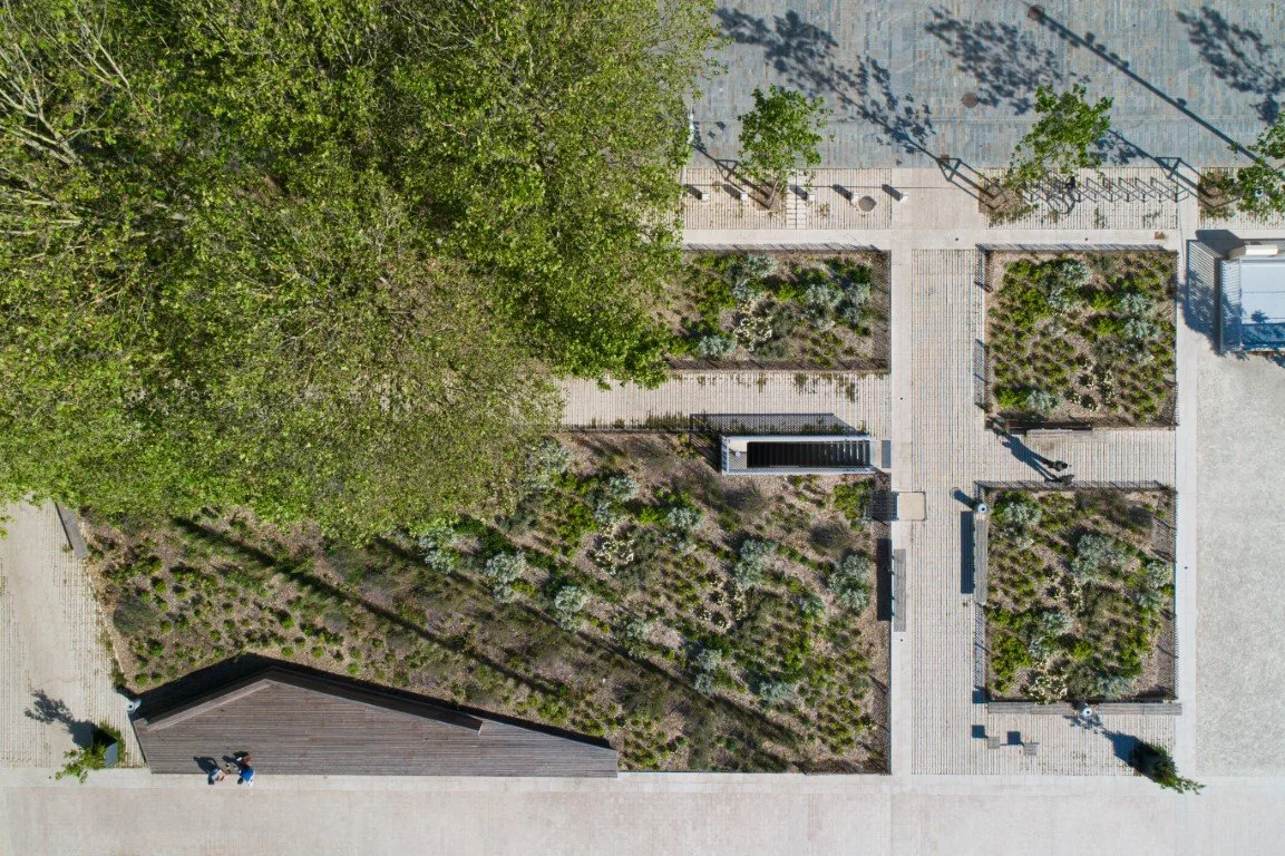 DJI_0145.jpg