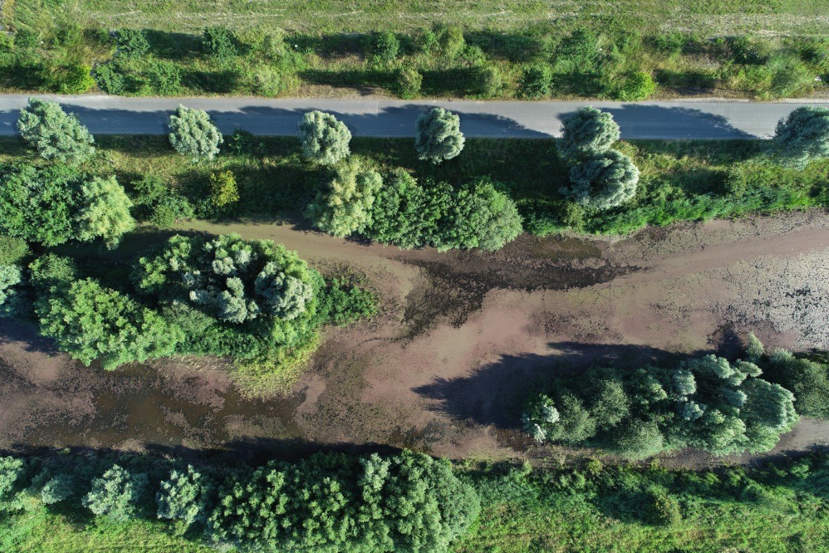 20180625-DJI_0424.jpg