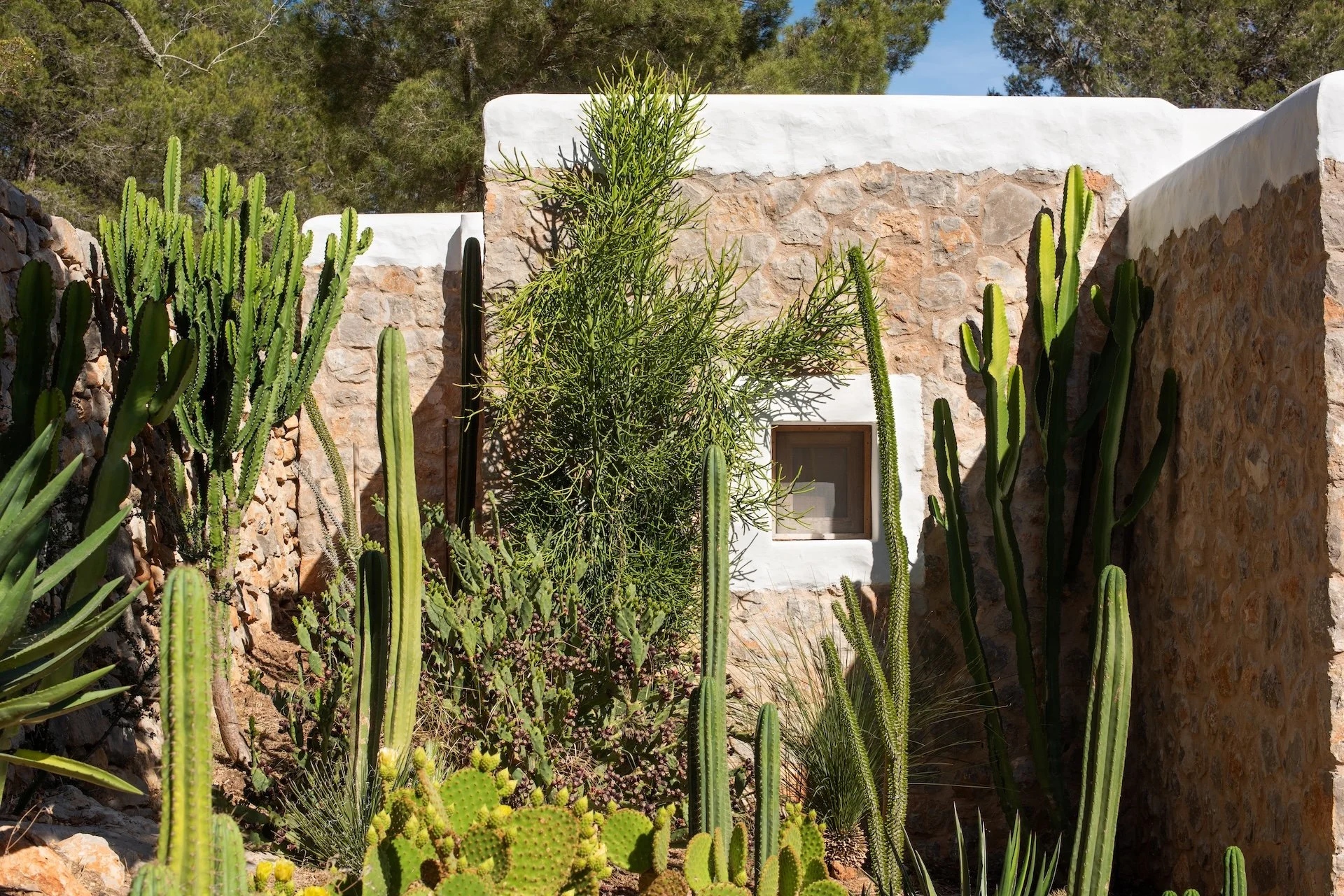 AF A / Ibiza