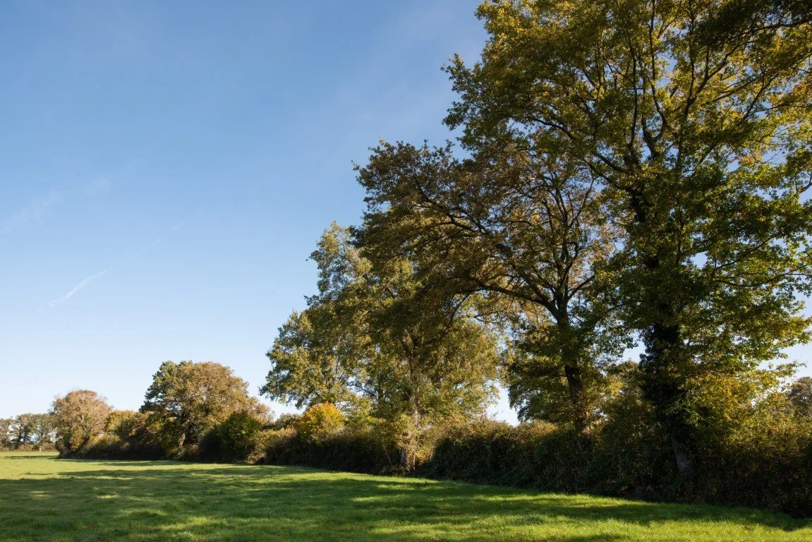 KS0_0641.jpg