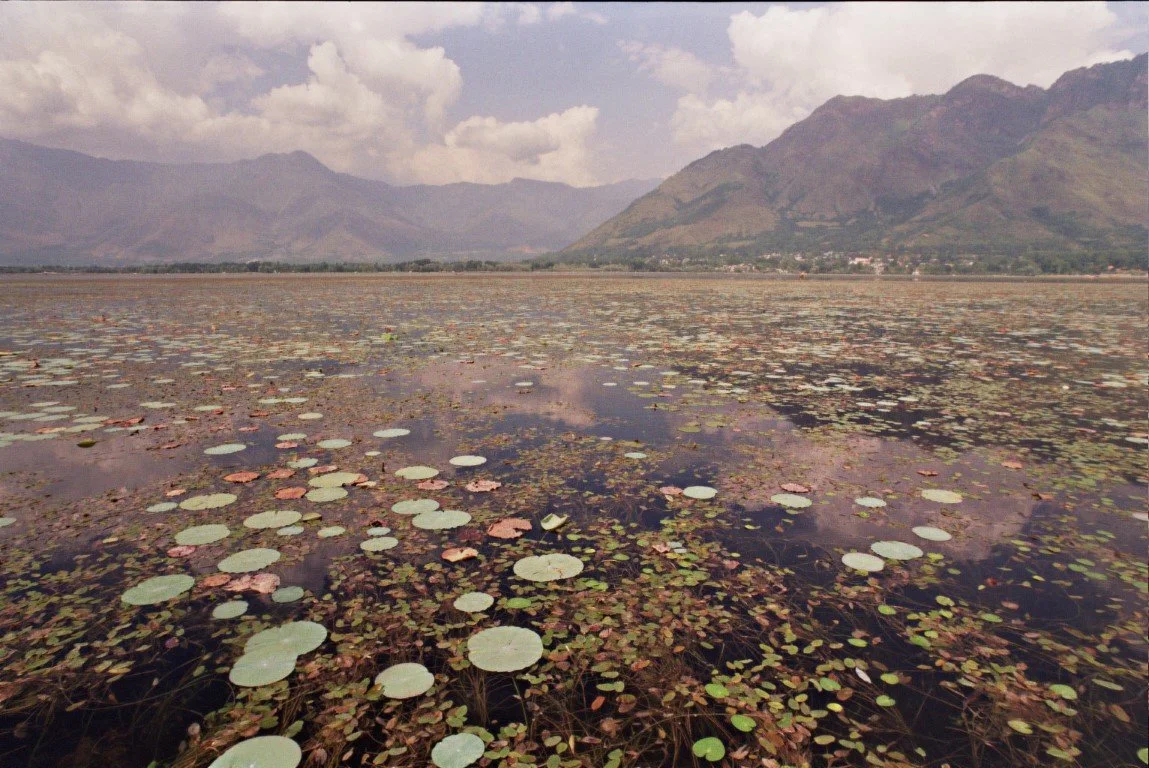 03_LAKE.jpg