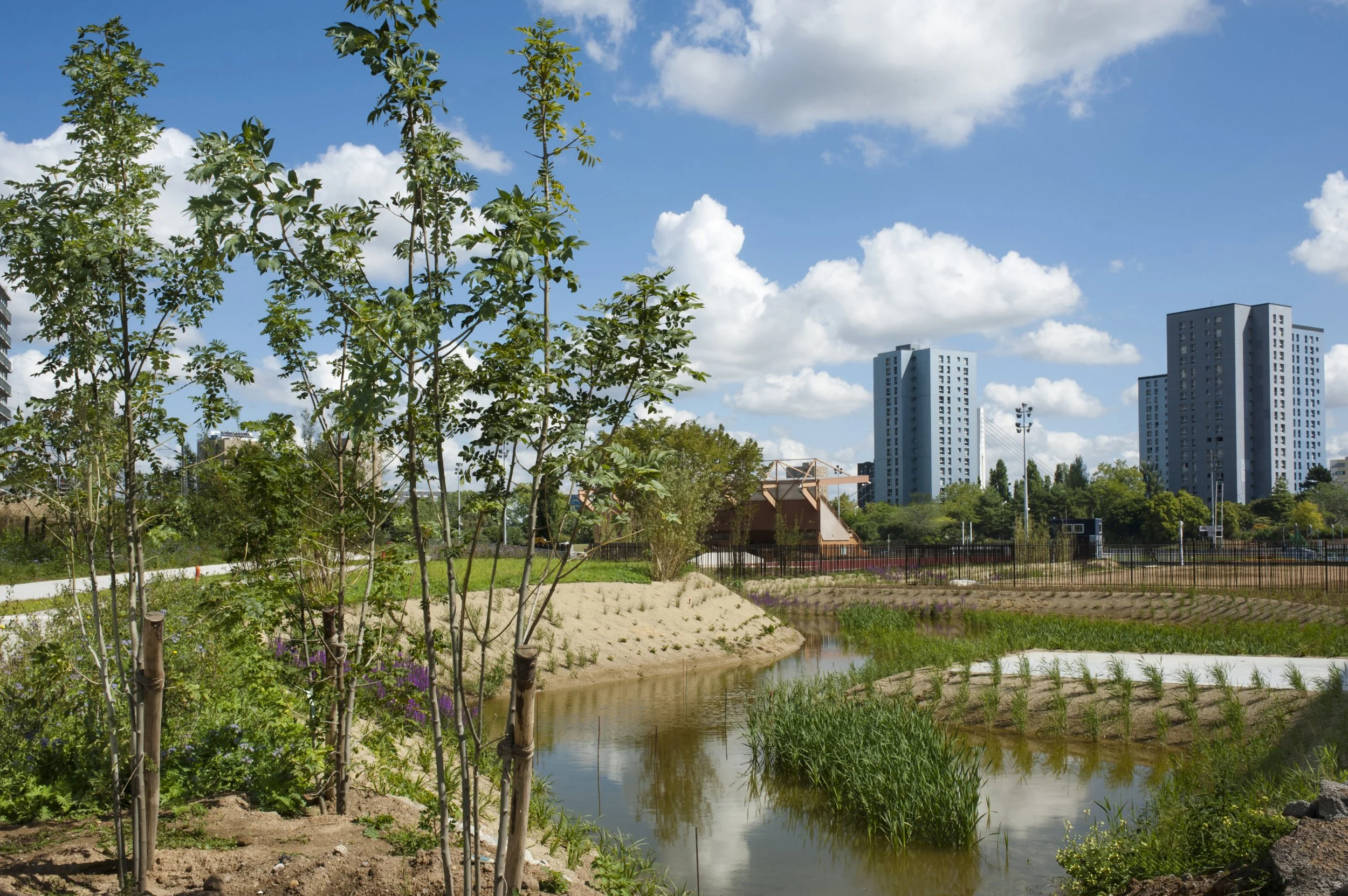 4 KS0_3095.jpg