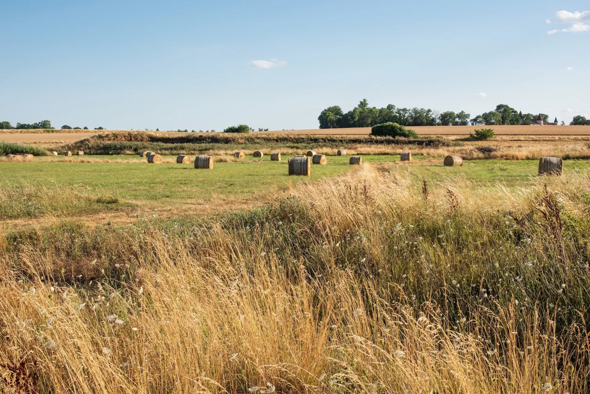KS0_8073.jpg