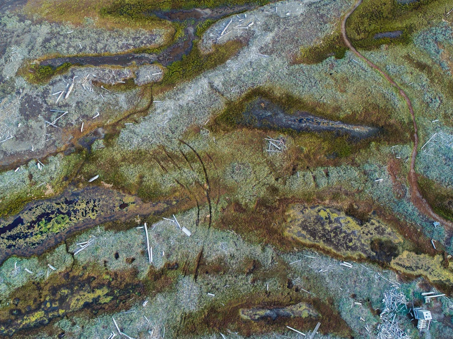 20170713-DJI_0049.jpg