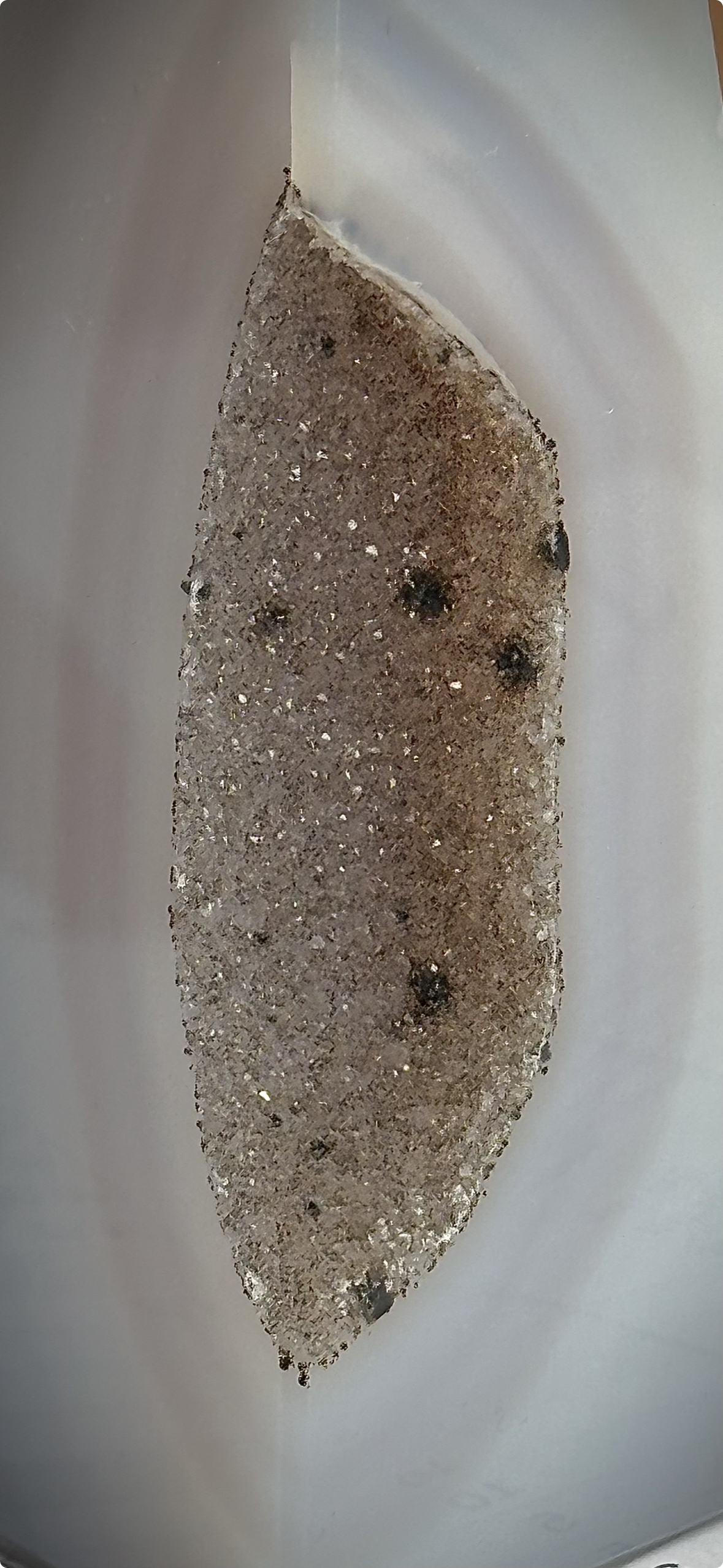 Close-up view of a silver, semi-circular metallic object with a textured surface and small dark spots, resting on a white surface.