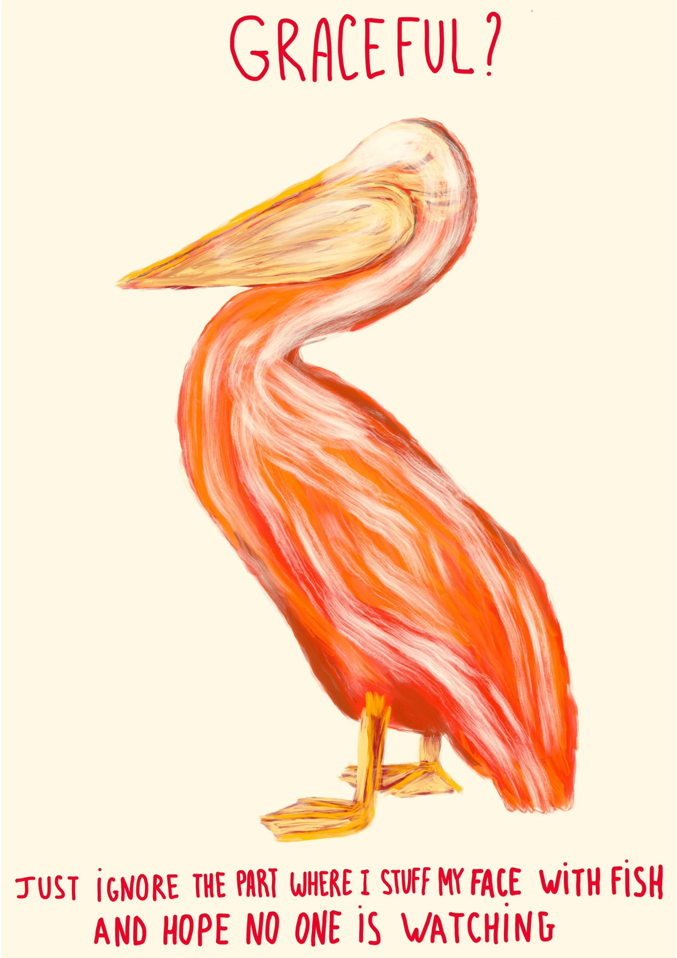 A3+-+Pelican.jpg
