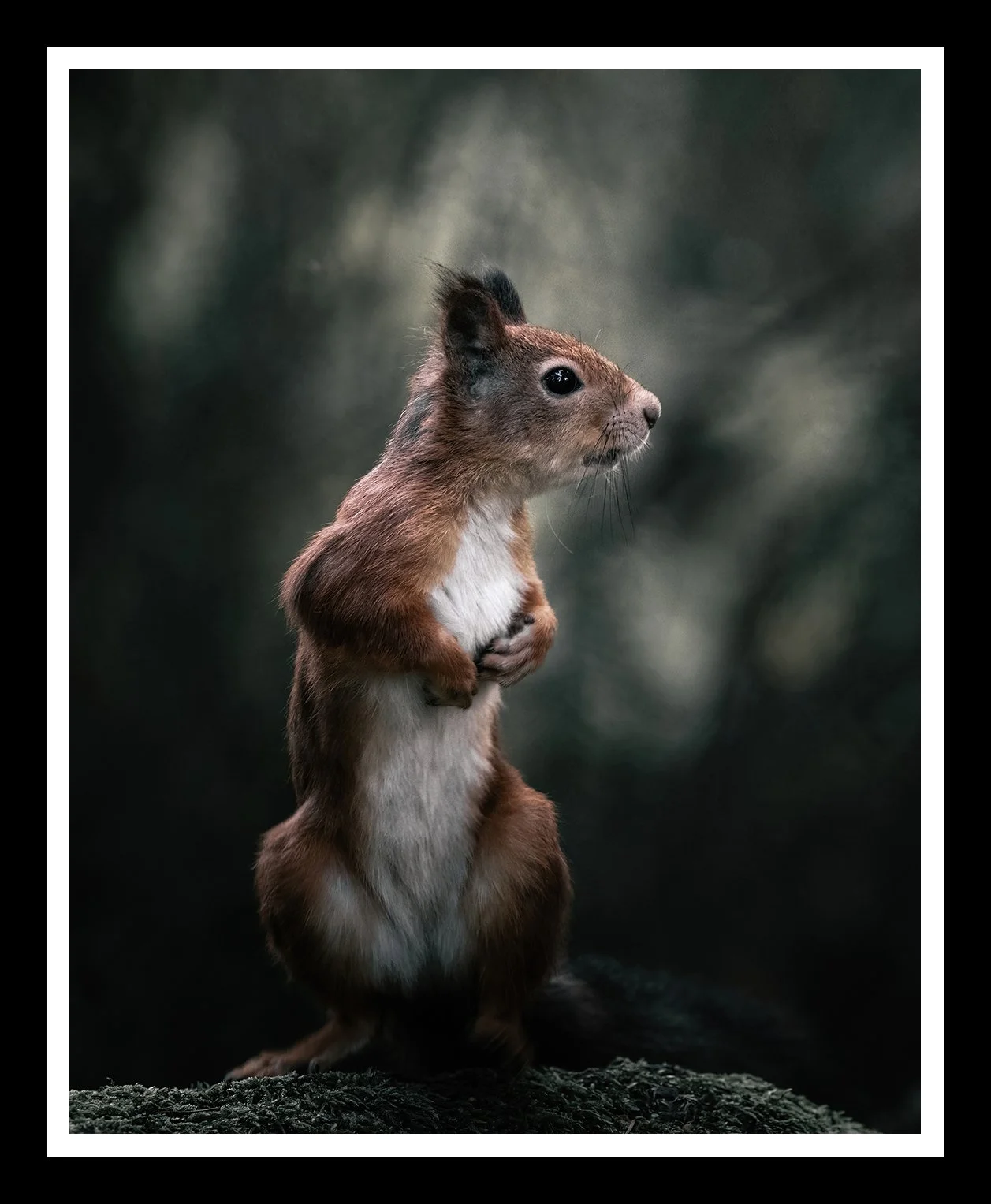 Little-friend-4x5-r.jpg