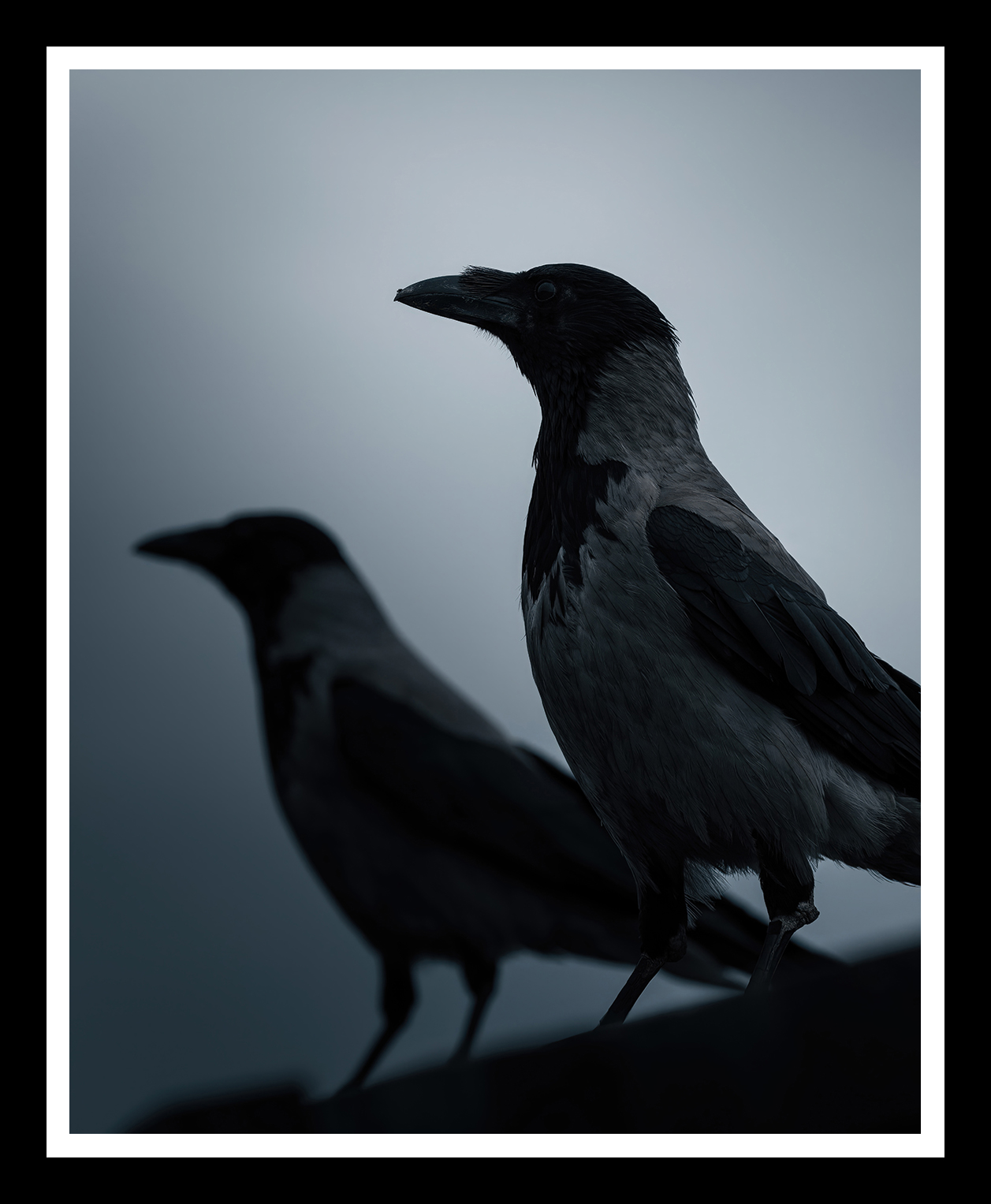 Watchers-4x5-r.png