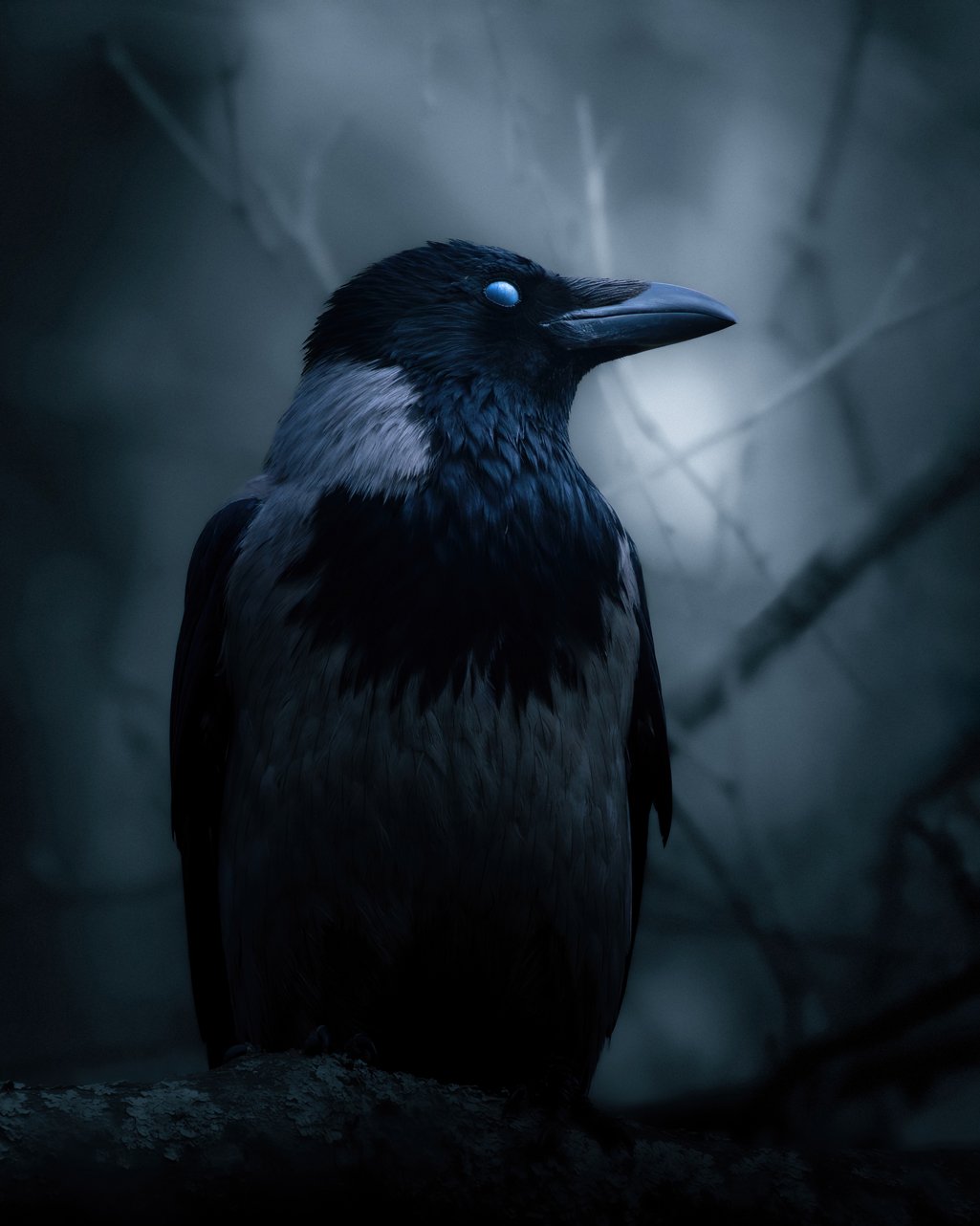 The Crow - Fine art print