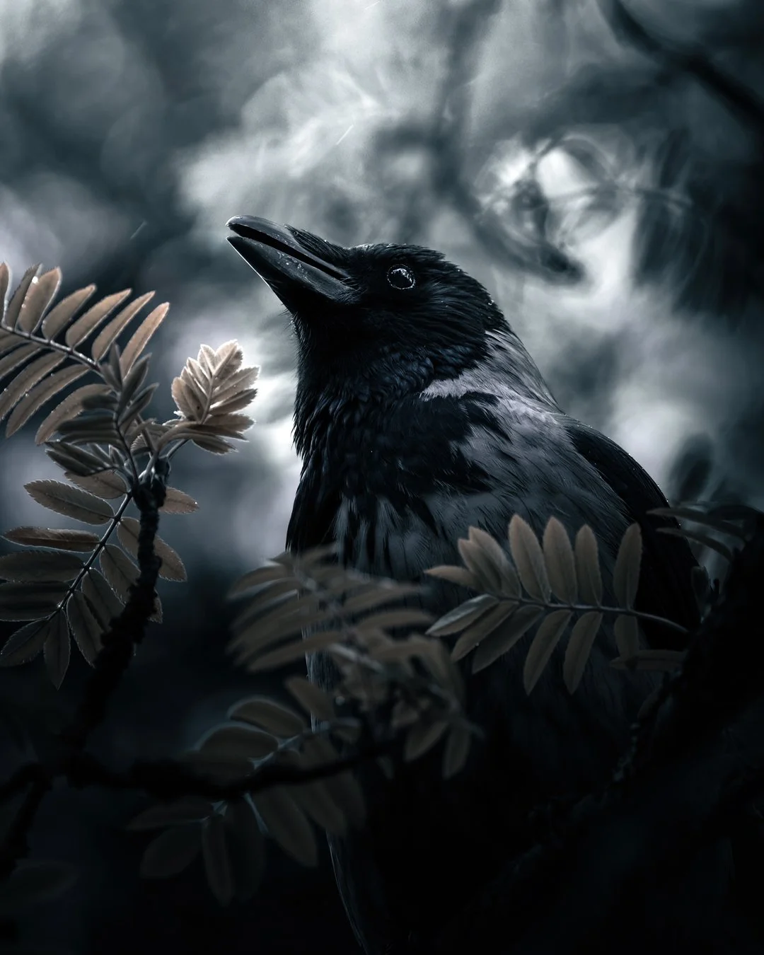 In-the-rain - Copy.jpg