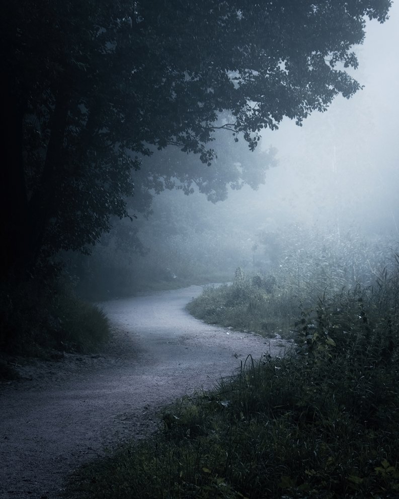 The Path - Fine art print