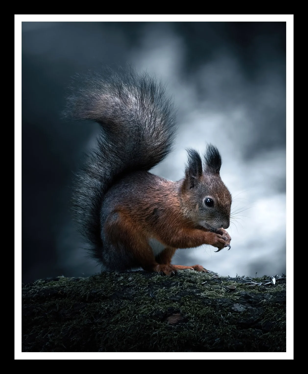 By-the-pond-4x5-r.jpg