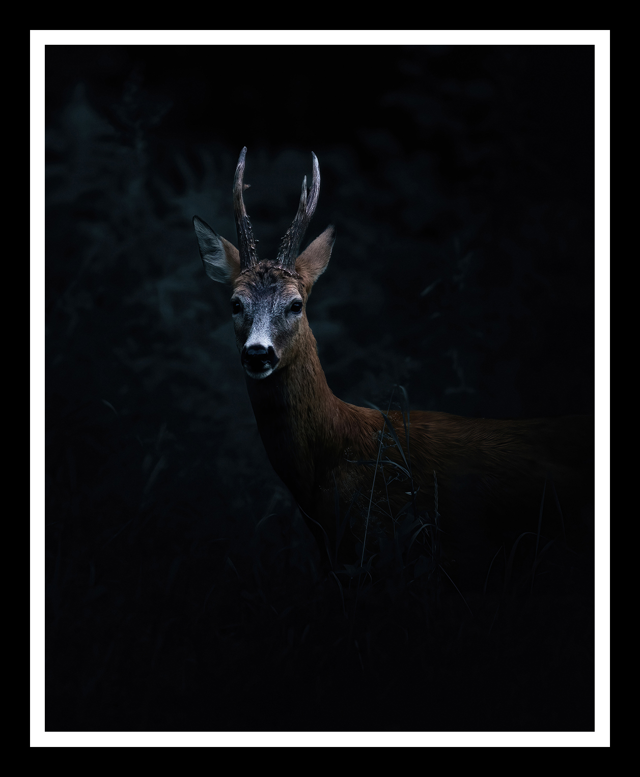 In-the-dark-4x5-r.png