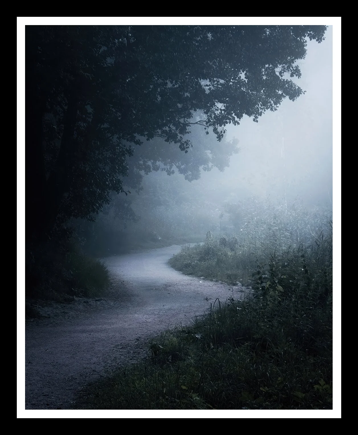 The-path-4x5-r.jpg