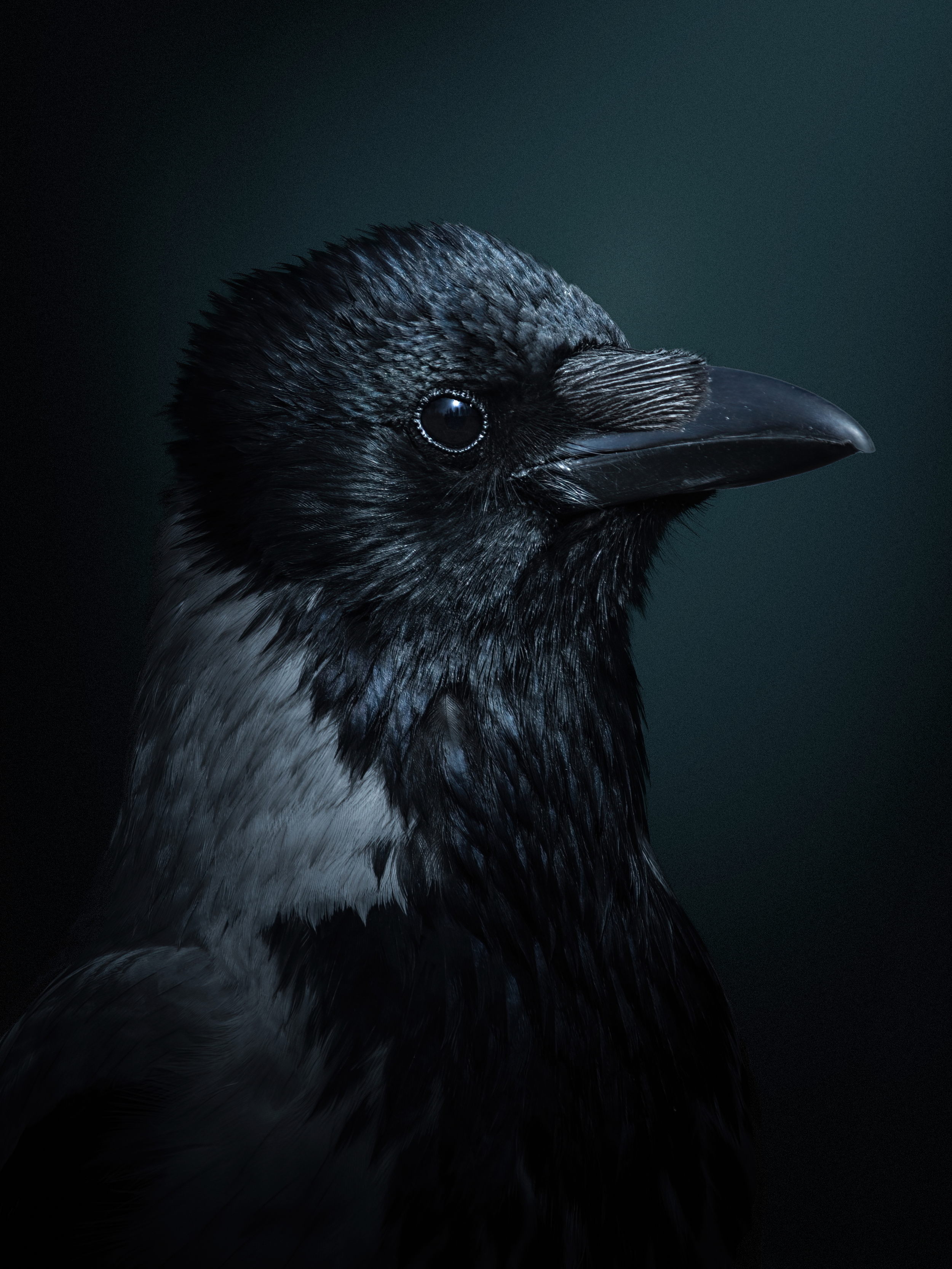aIMGL9928-low-light-m2.png