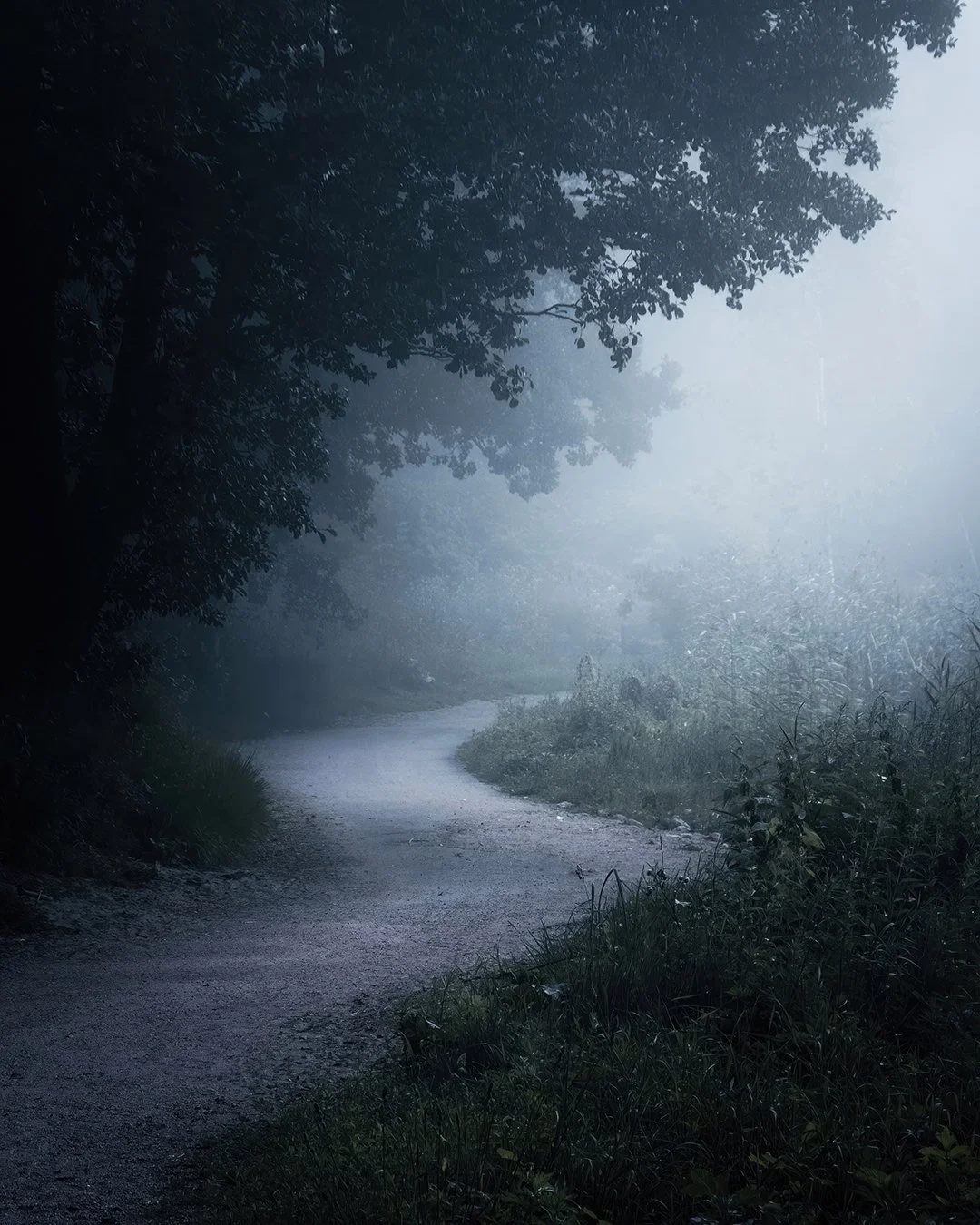 The path