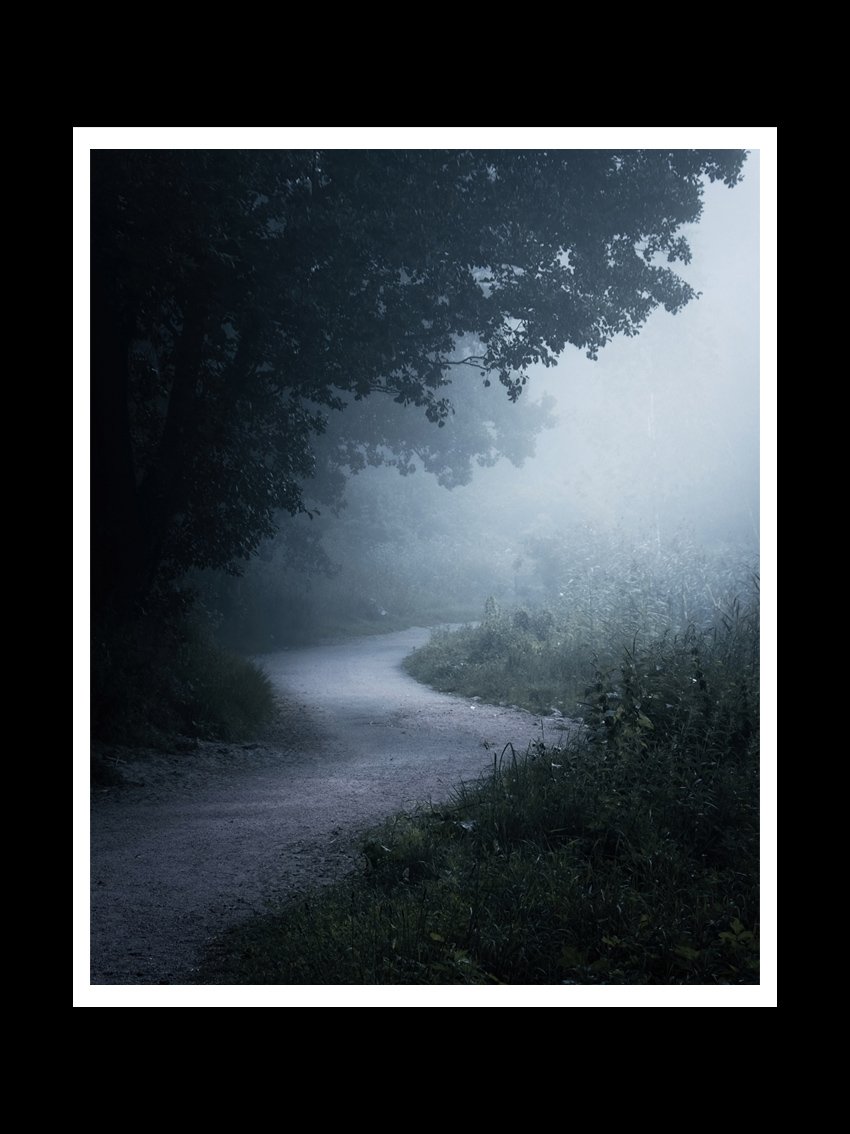 the-path-fine-art-print-nature-photography.jpg