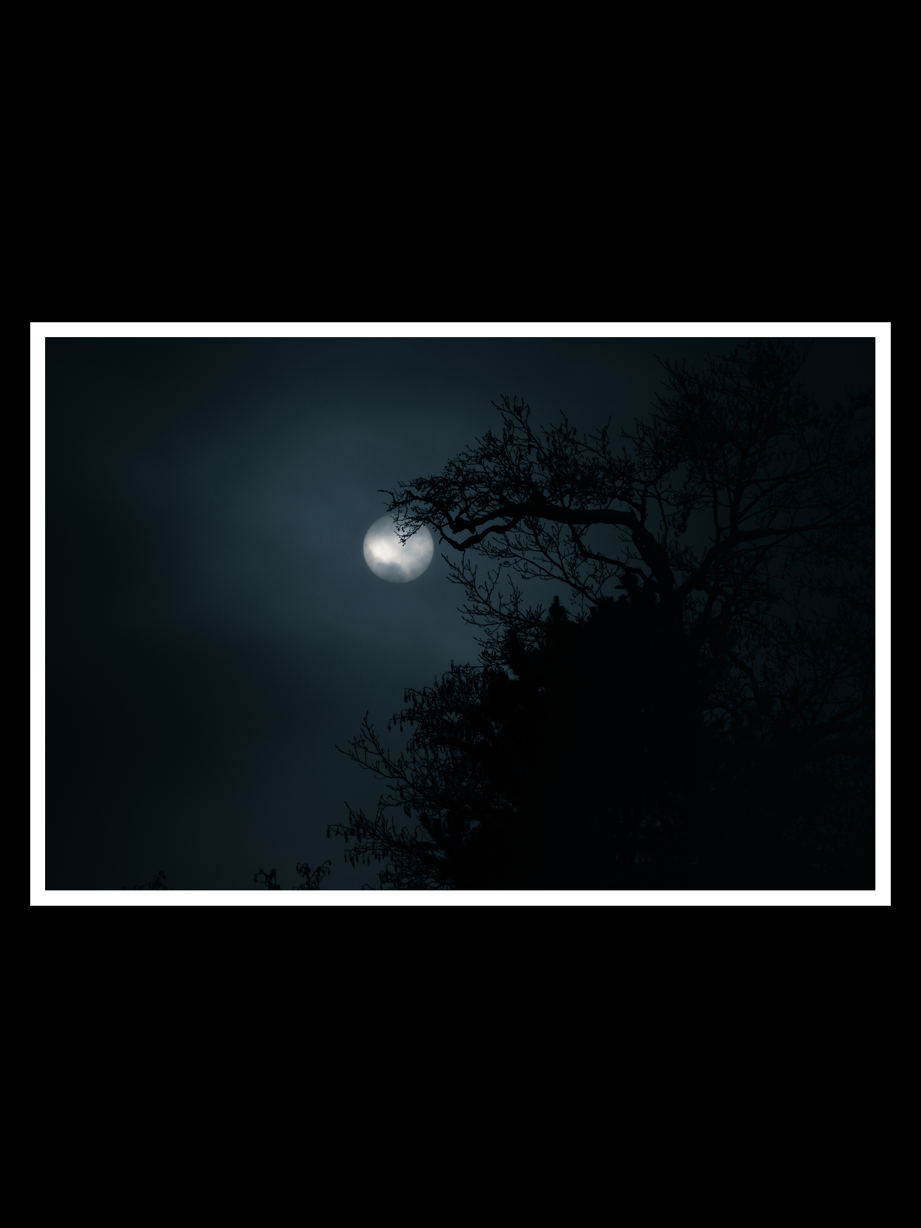 Night-2x3-r.png