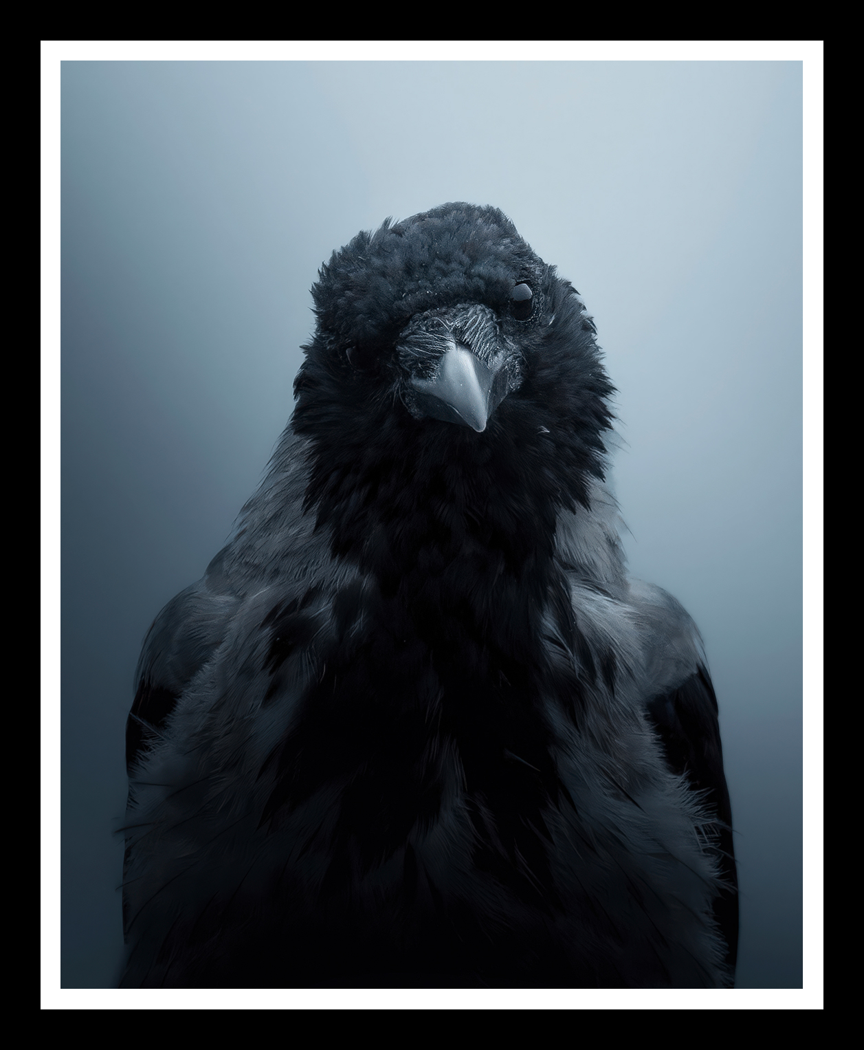 Sassy-crow-4x5-r.png
