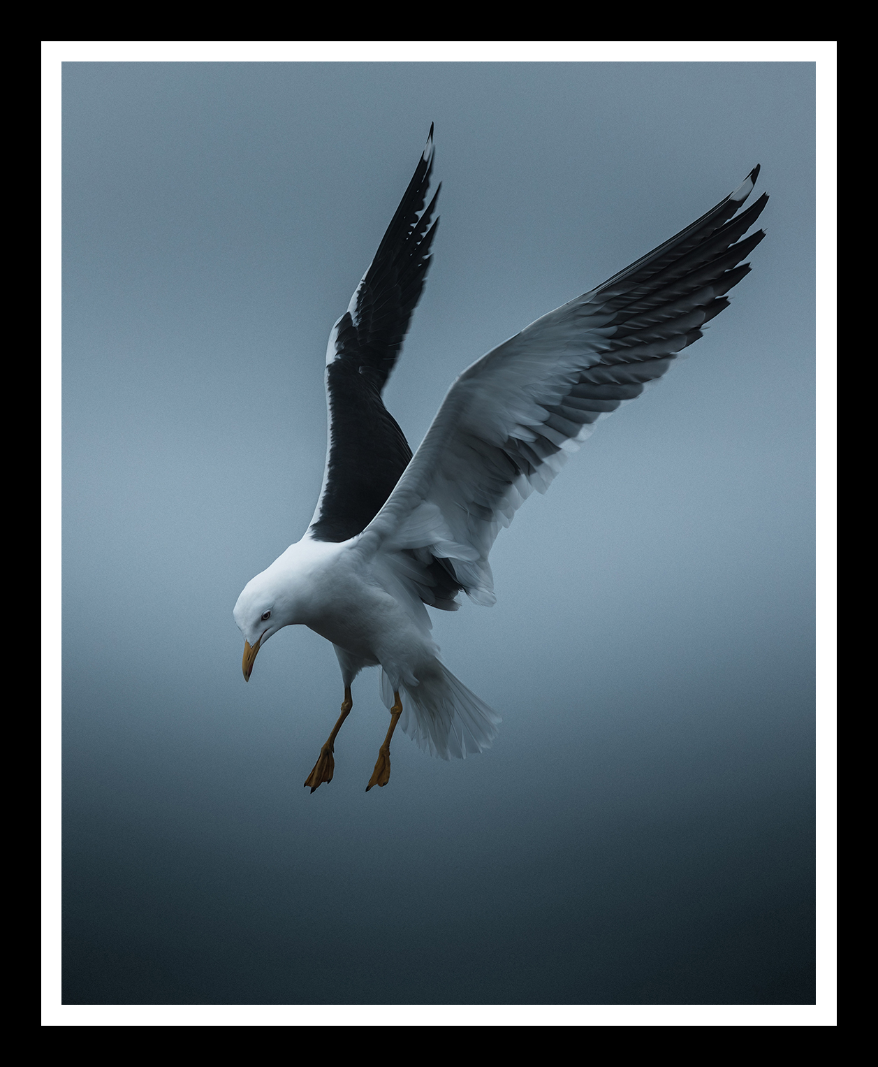 Landing-4x5-r.png