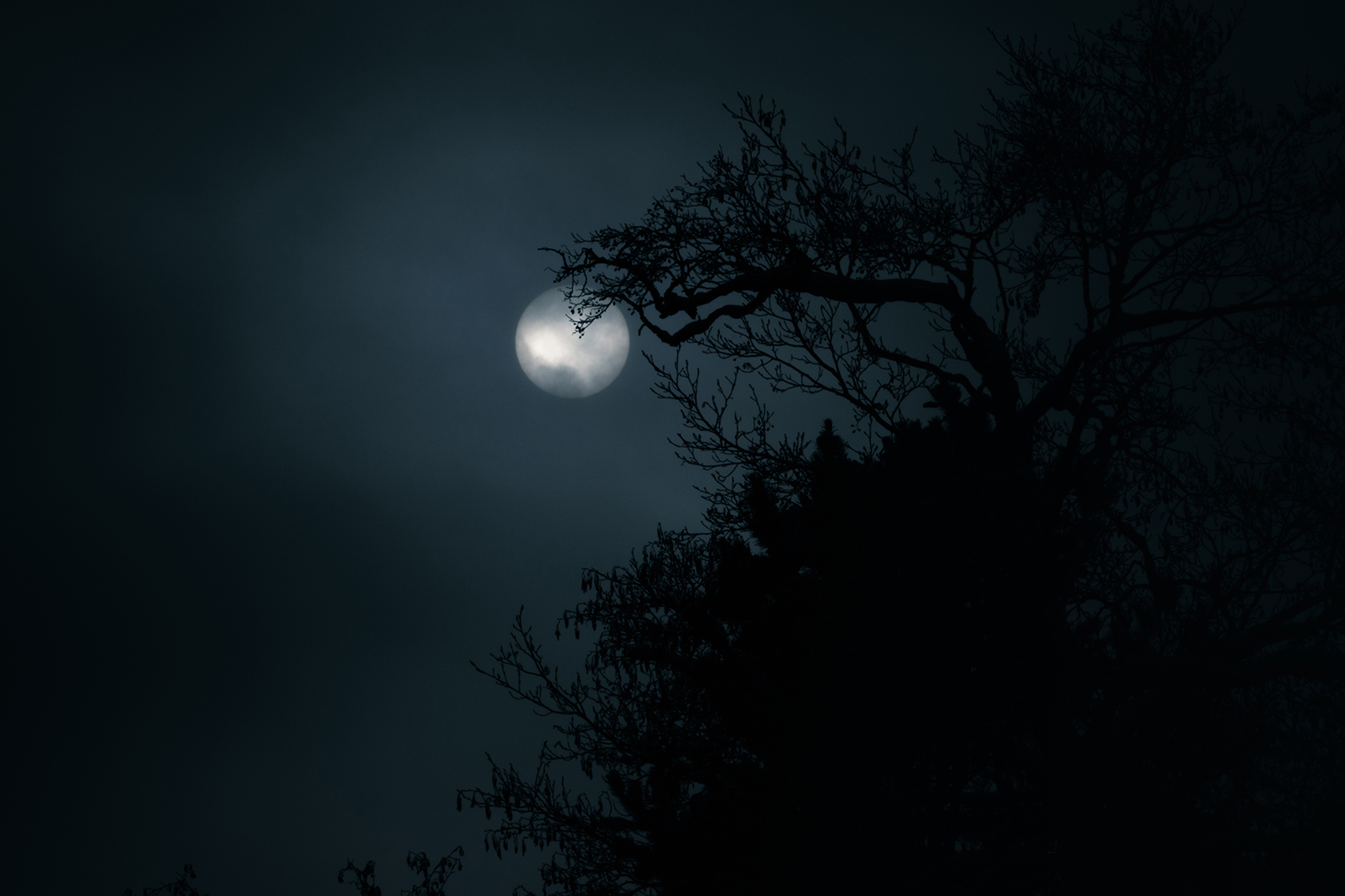 Night-2x3.png