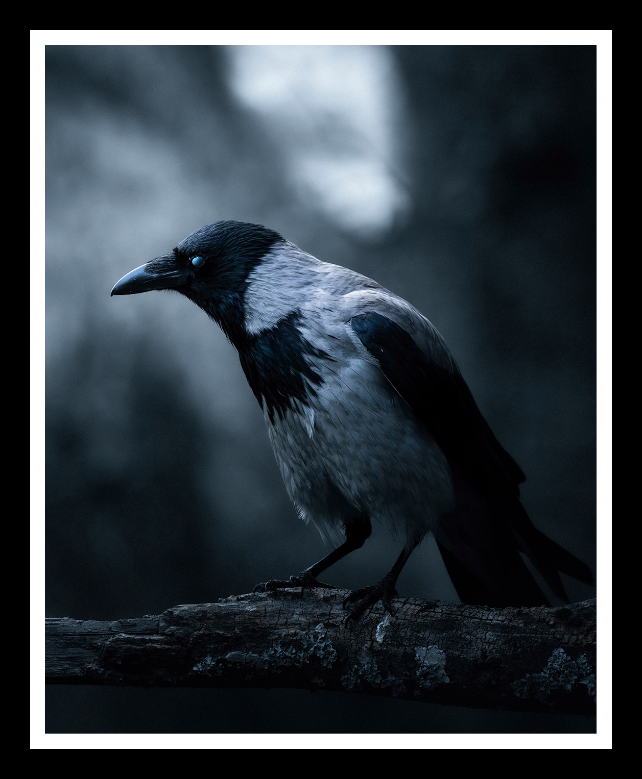 Messenger-4x5-r.png