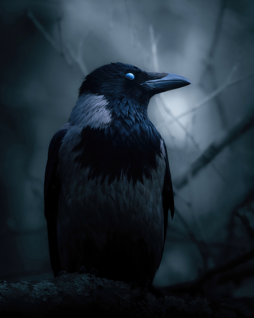 Omen-4x5.png