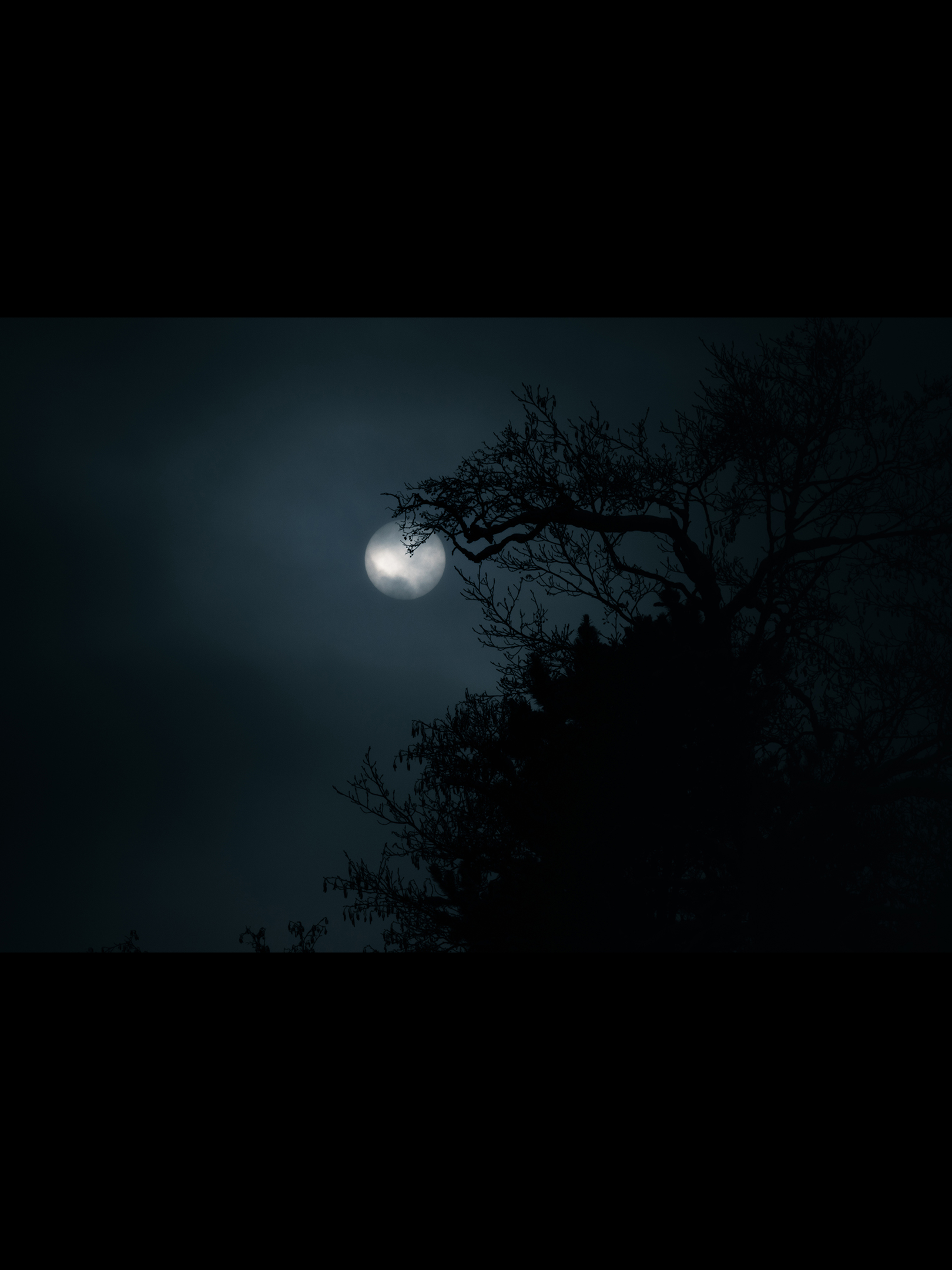 Night-2x3.png