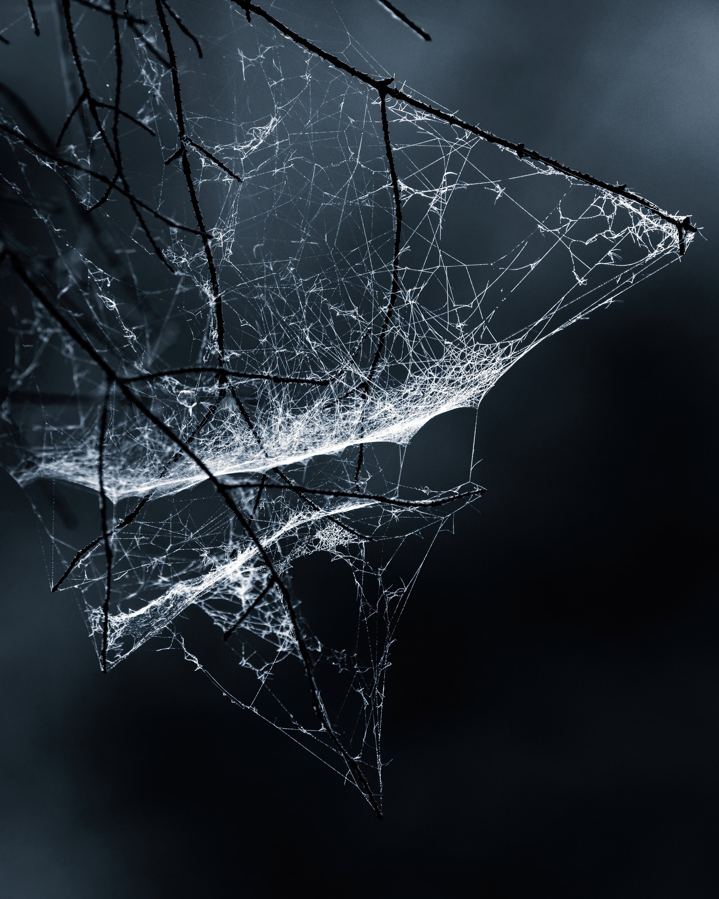 PI2A5093-low-light.jpg