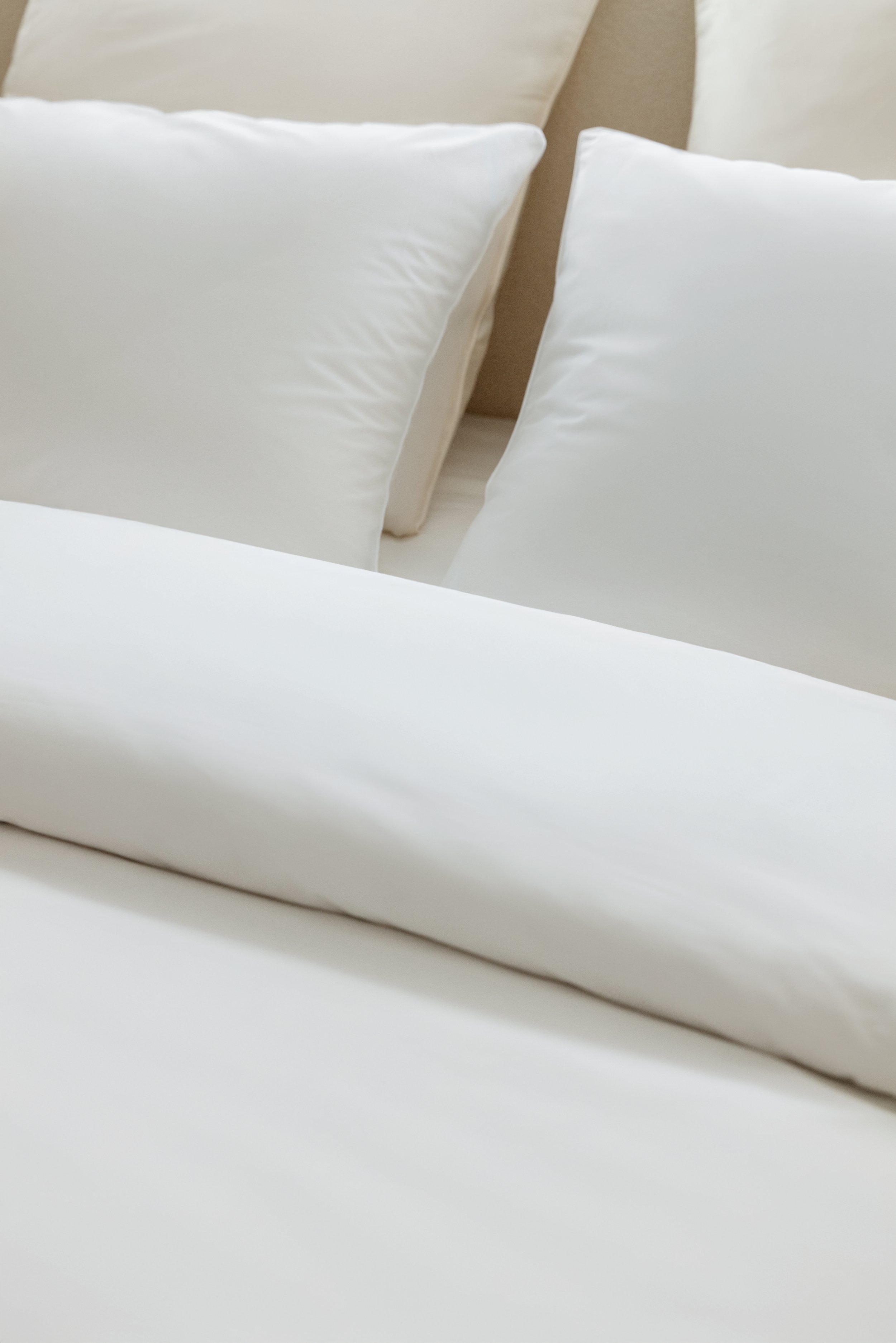 Copy of L1190663-R.jpg