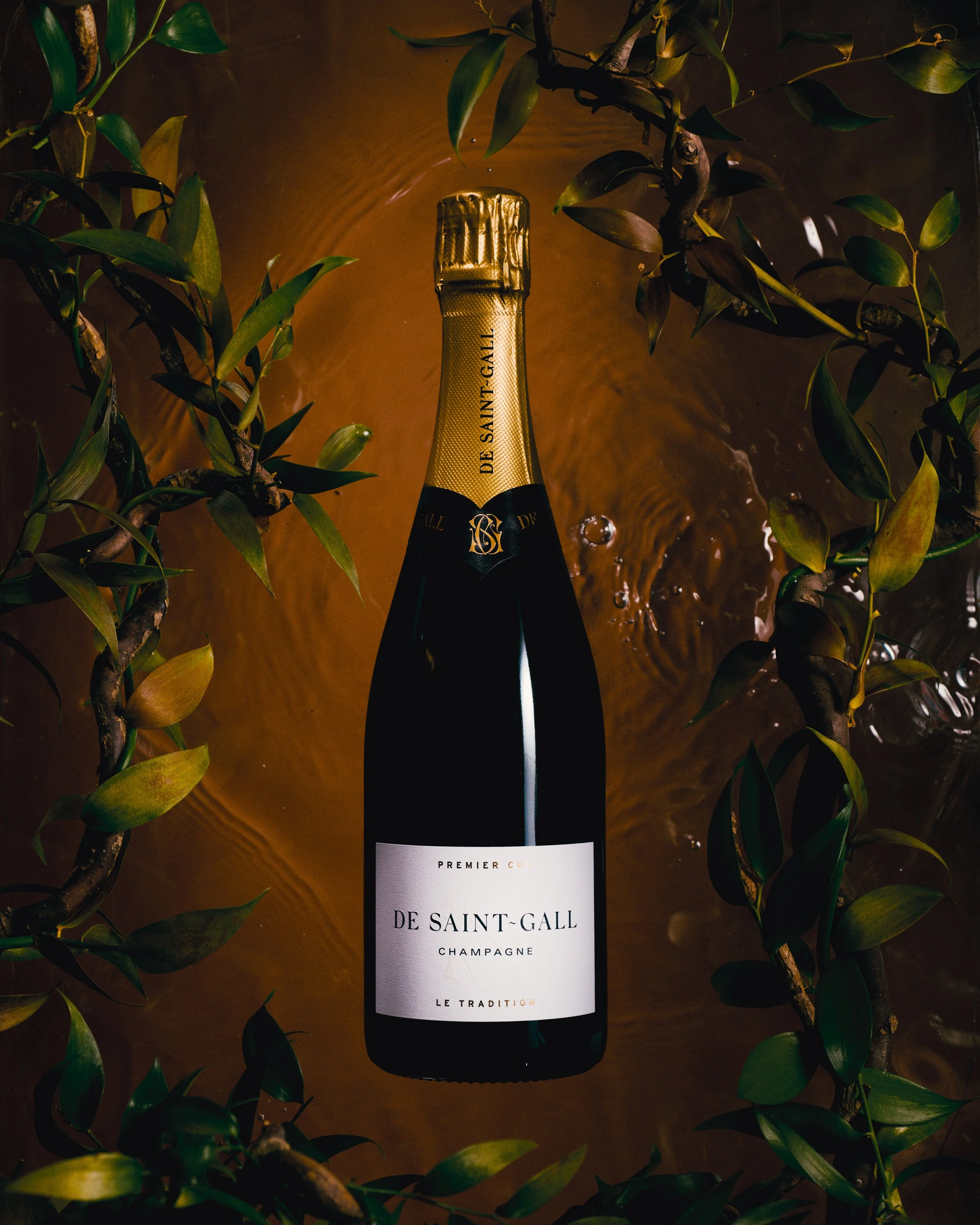 Capture_0132_MAIN 2.jpg