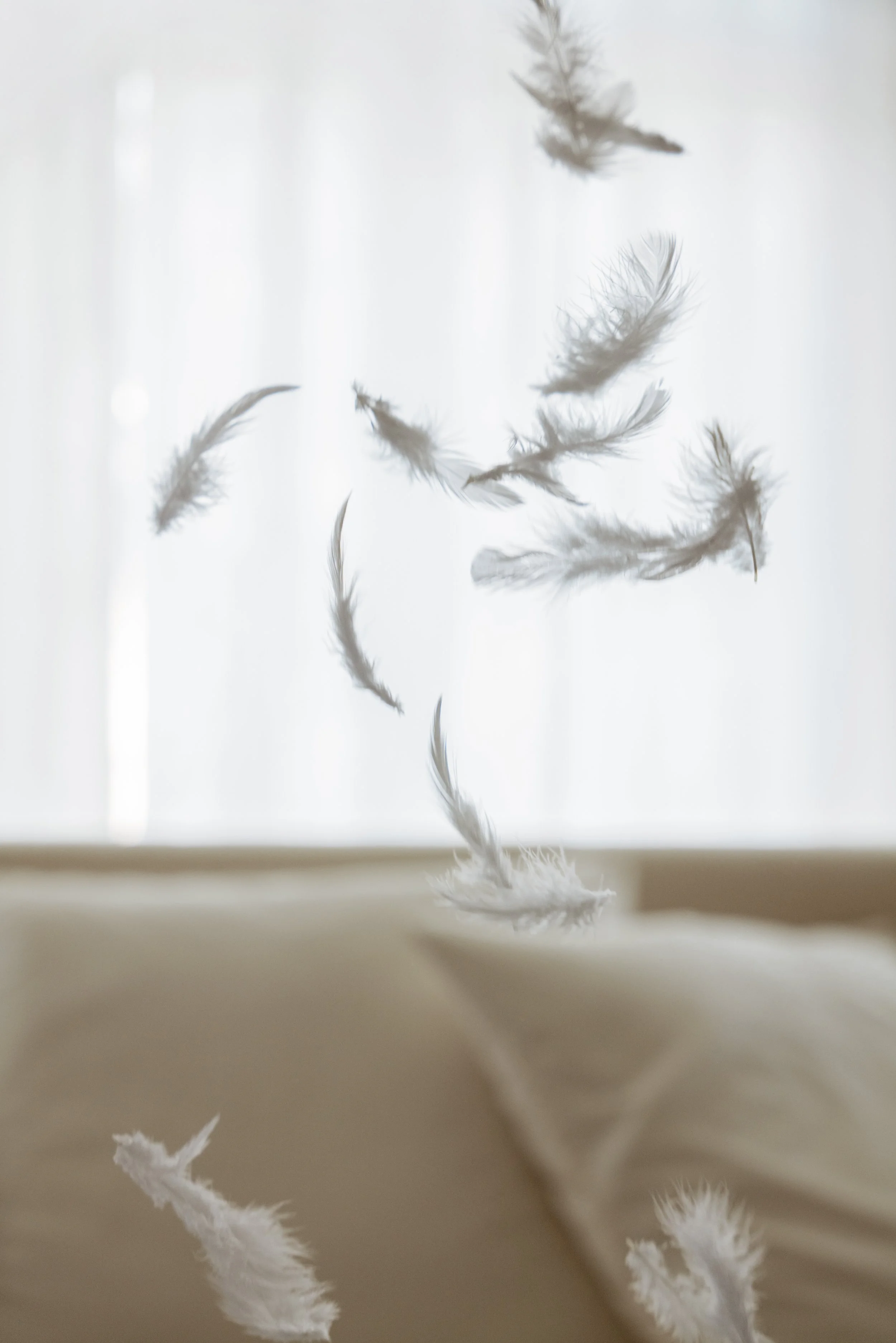 Copy of L1190202-R-V1.jpg