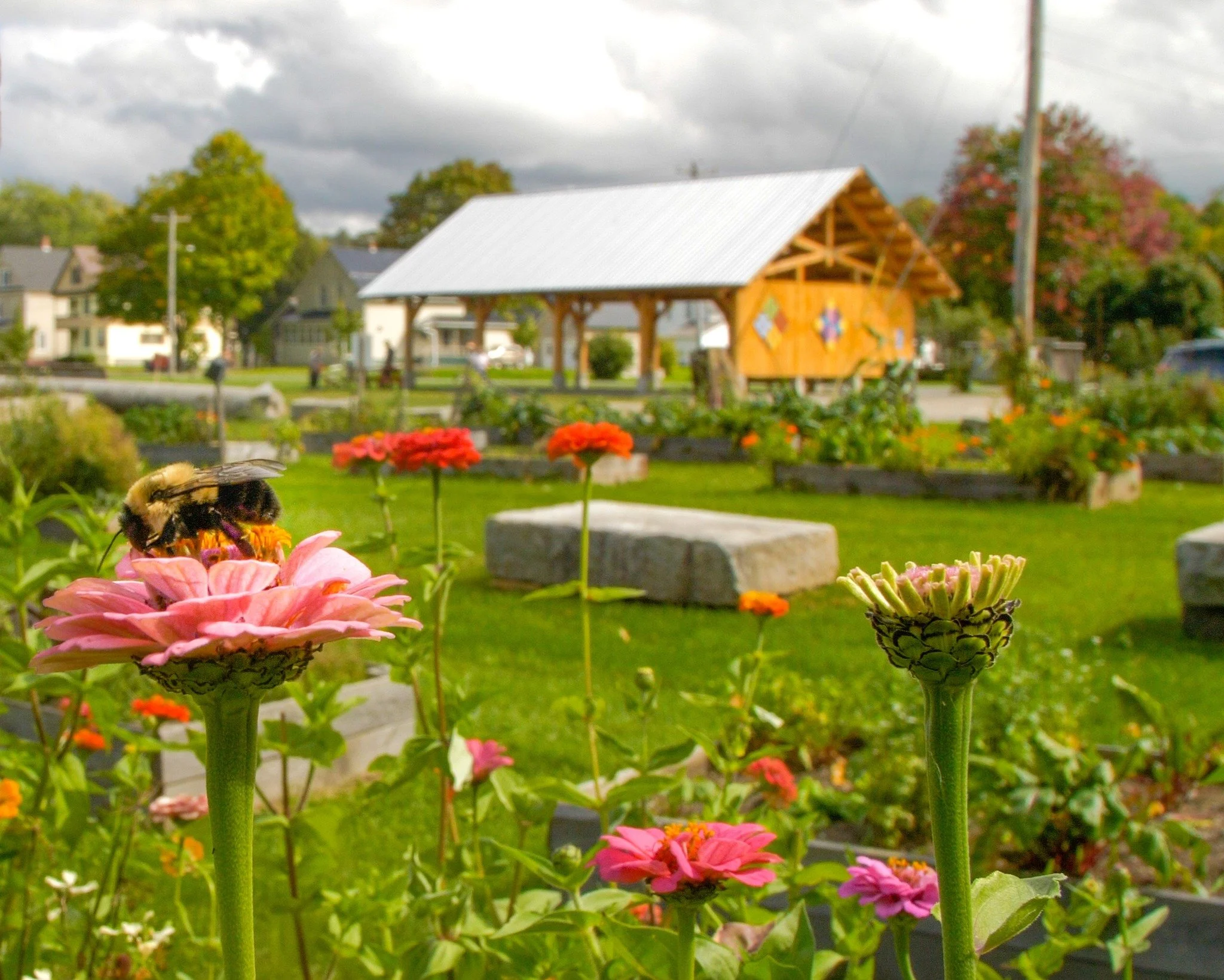 Pollinator ERb.jpg
