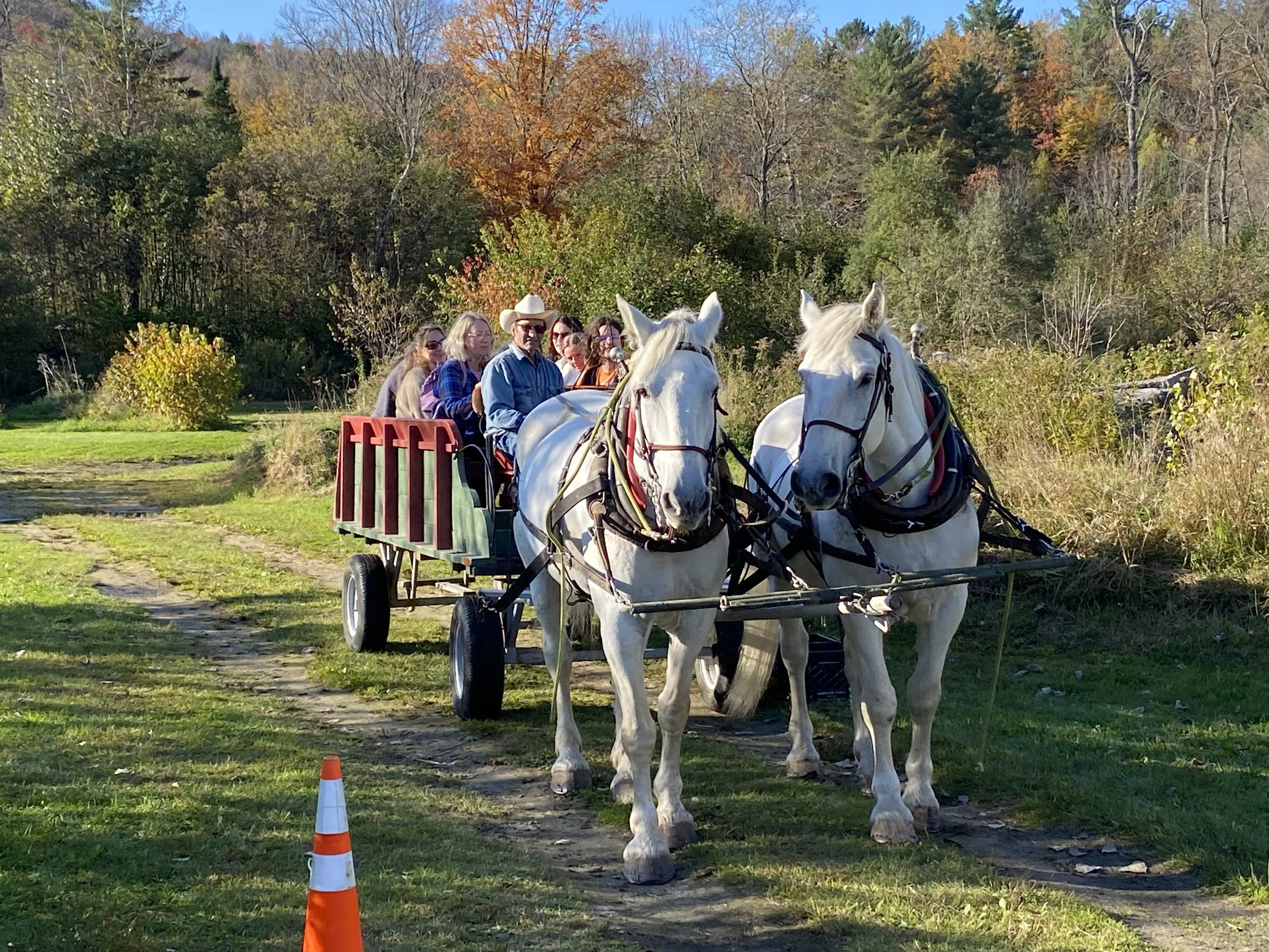 paul ruta wagon rides.JPG