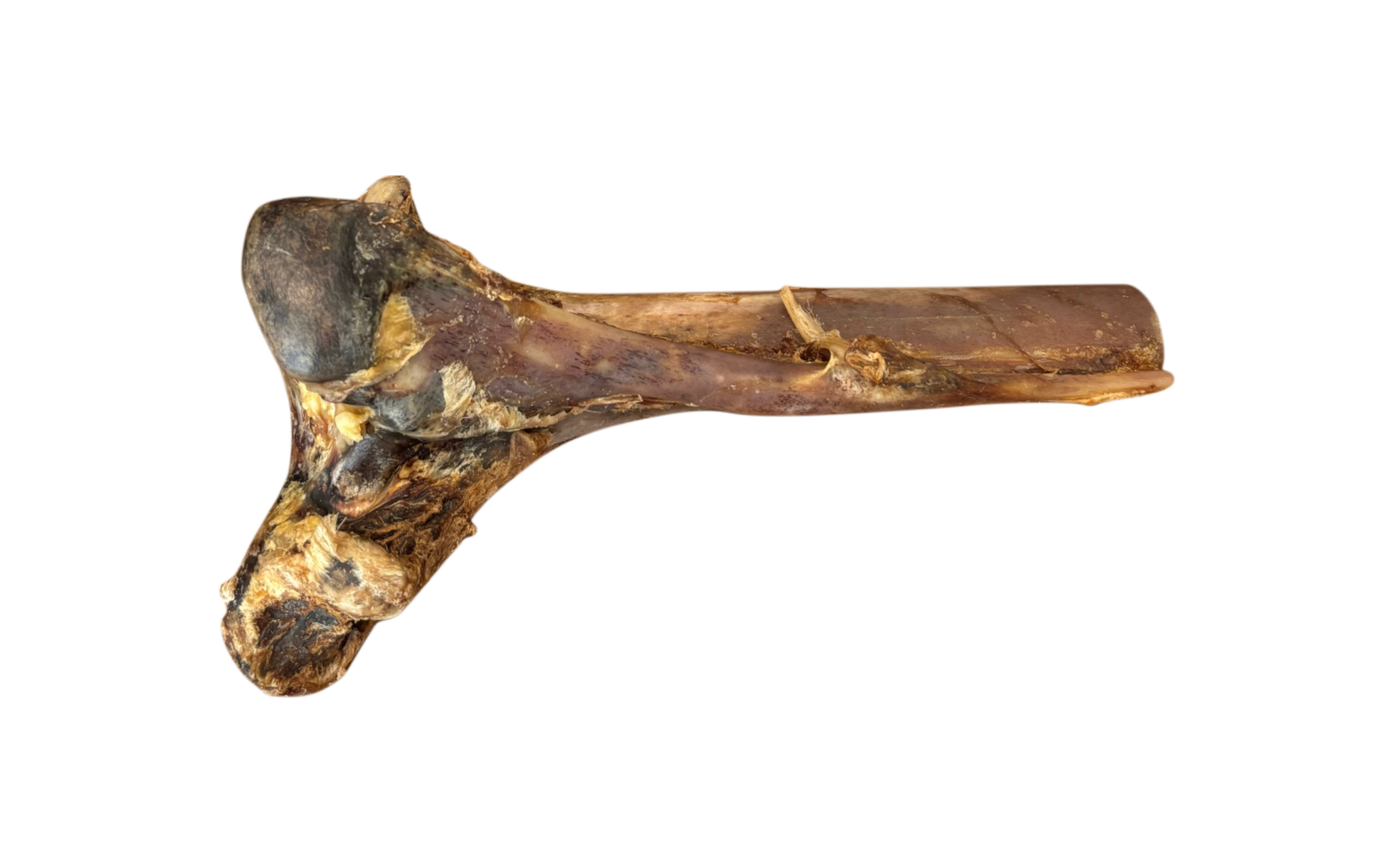 81BD8277-3057-41C3-8C47-22536CECD3D0.PNG