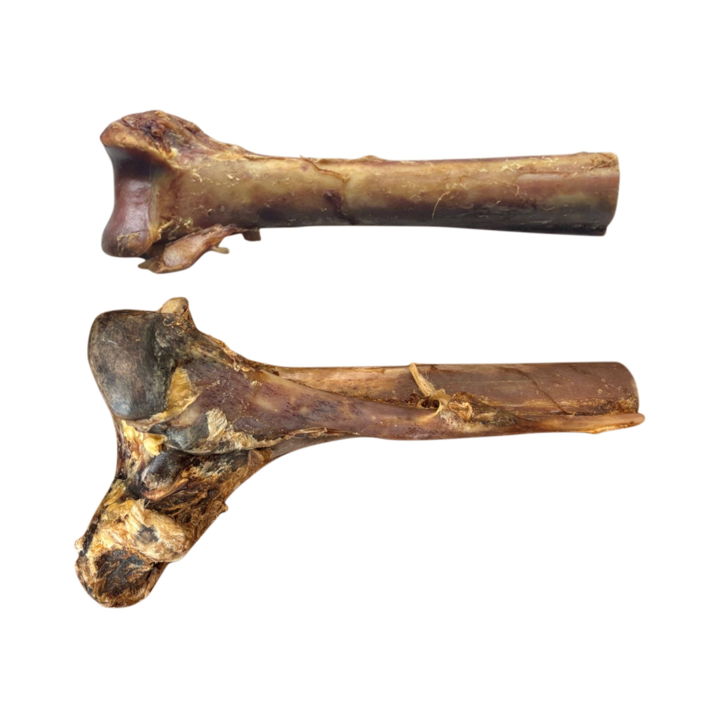 Ostrich Bone