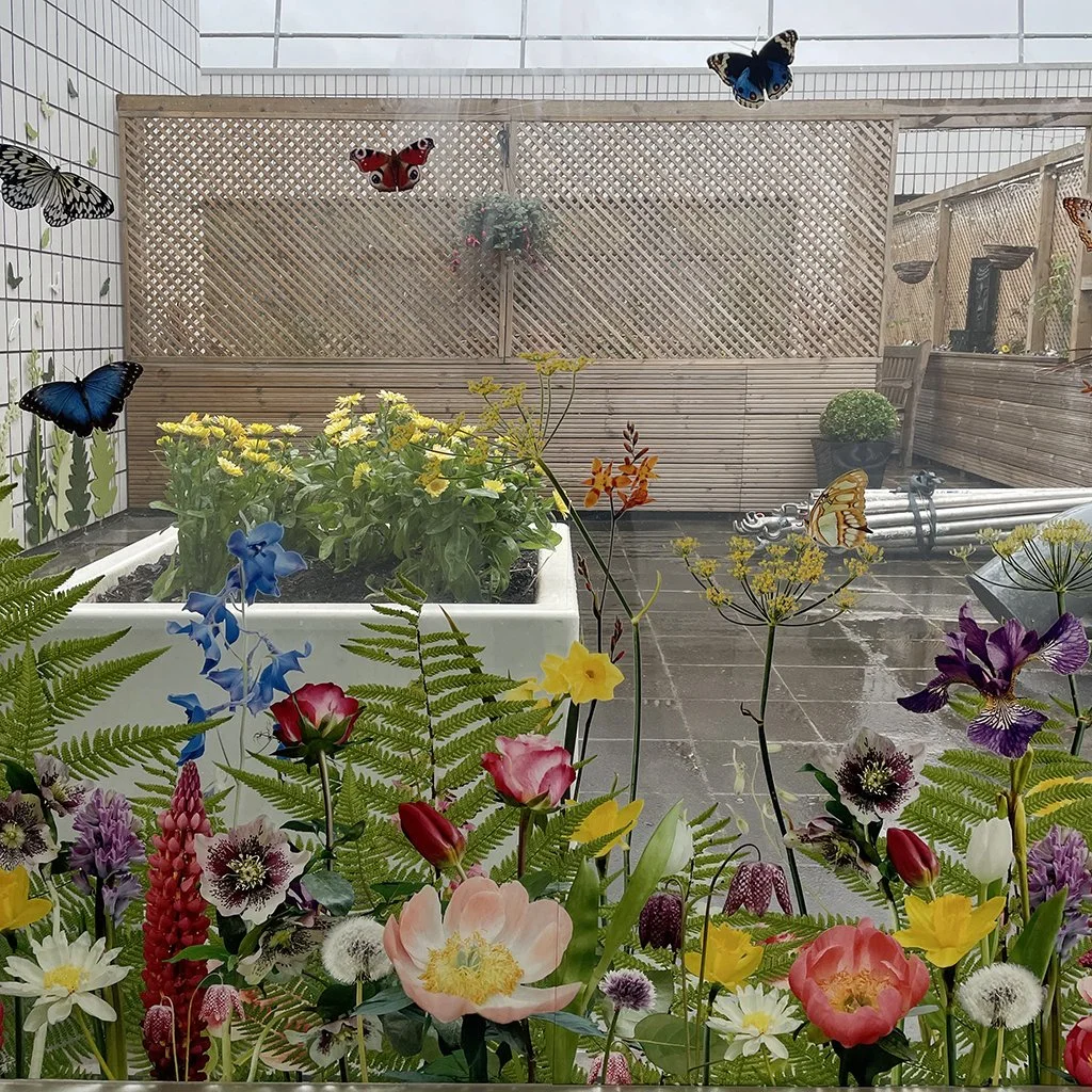through the window web.jpg