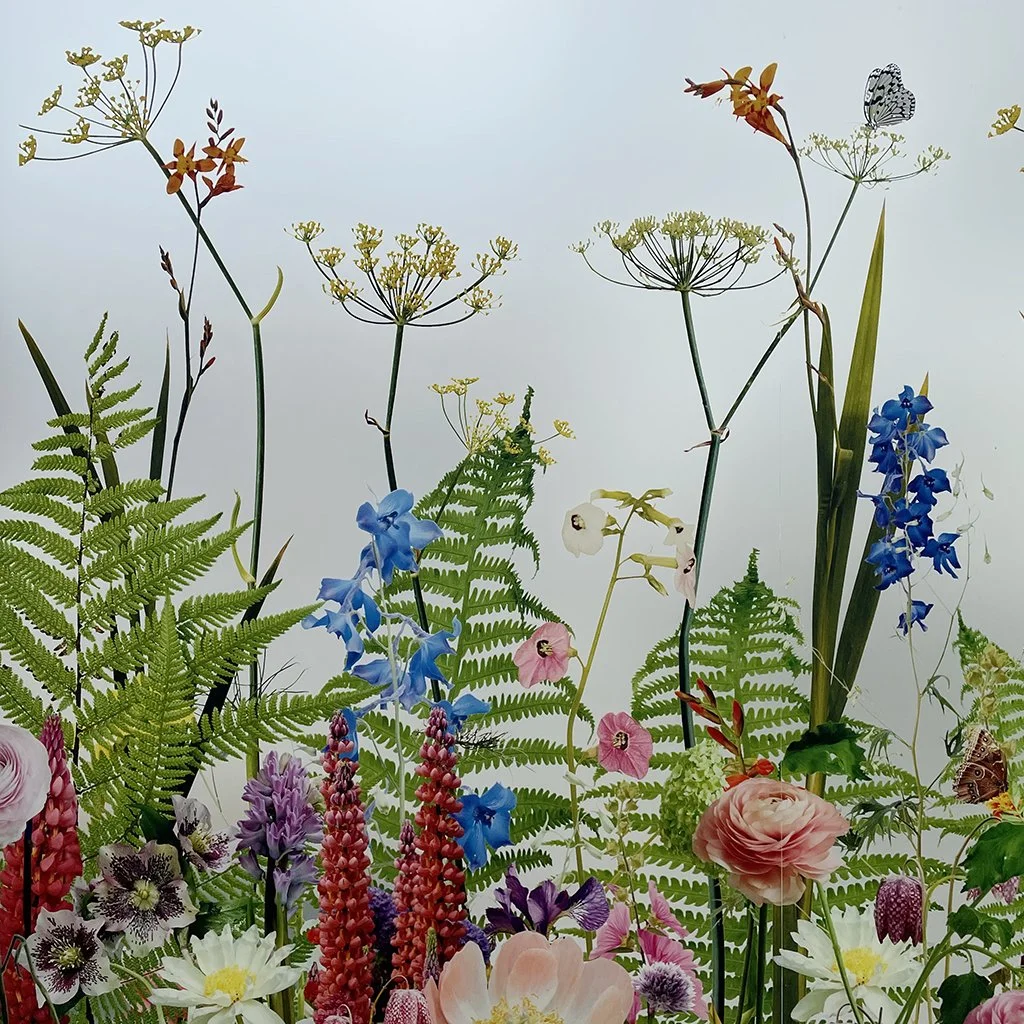 frosted view. web.jpg