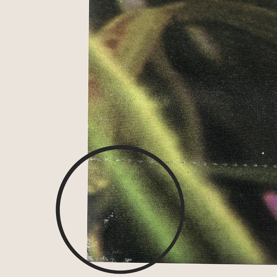 close up of use web.jpg