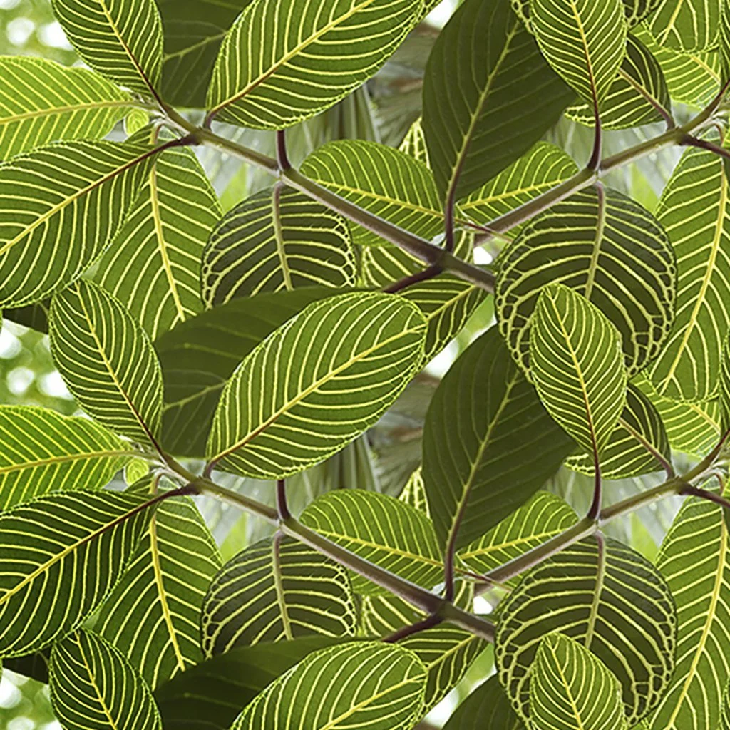 Safari_leaf_wallpaper_tile_web.jpg