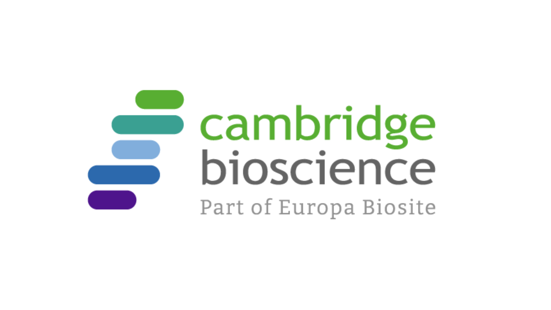 Logo for cambio with a symbol featuring purple blue and green lines to form a logo