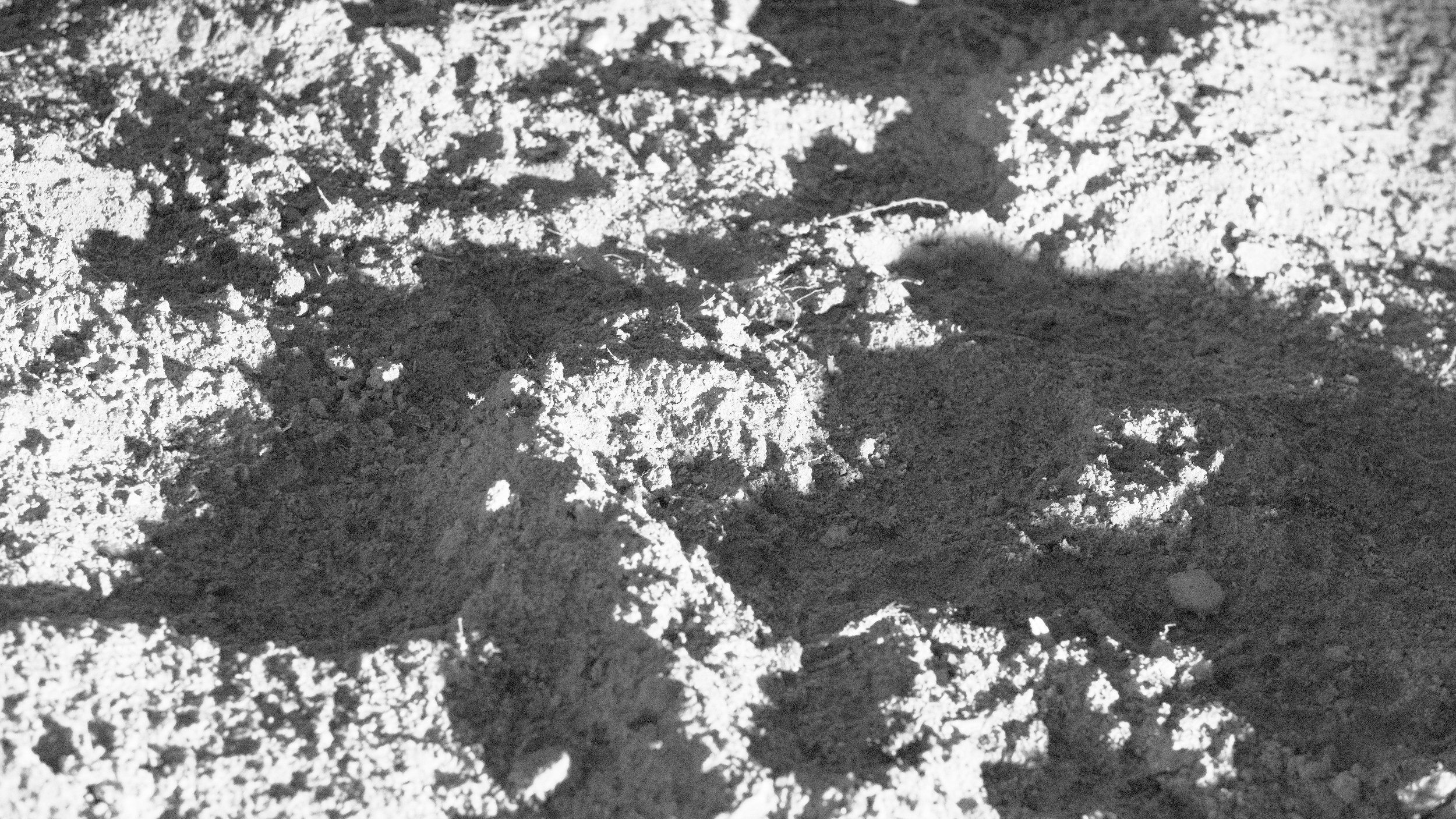 _DSF0161.1.jpg