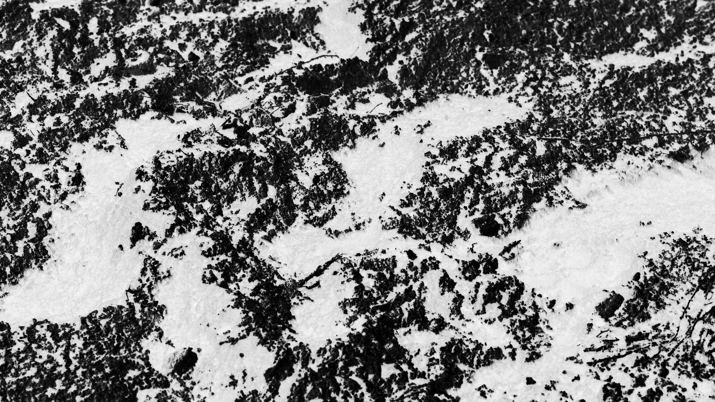 _DSF0163.1.jpg