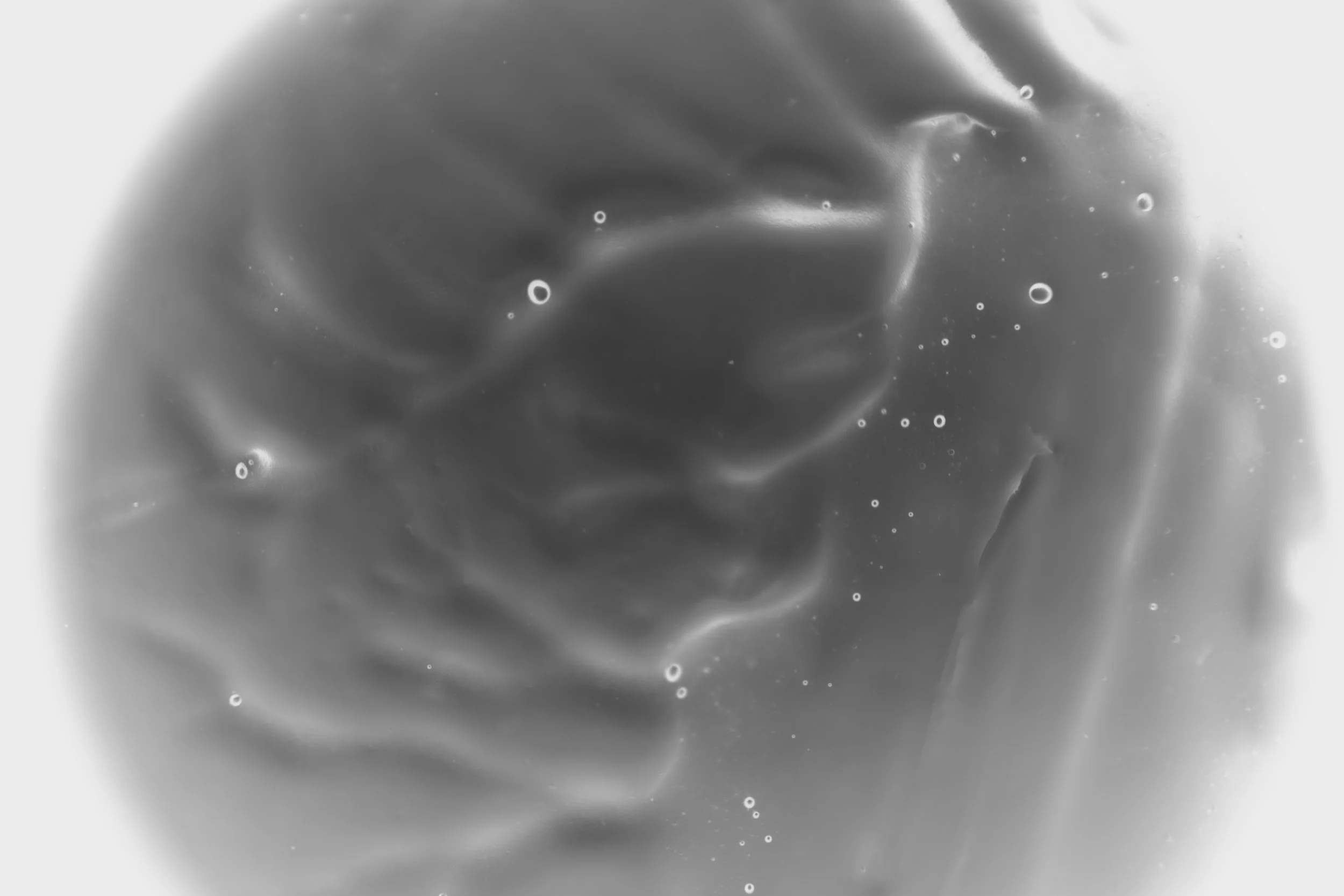 931A8492_13.jpg