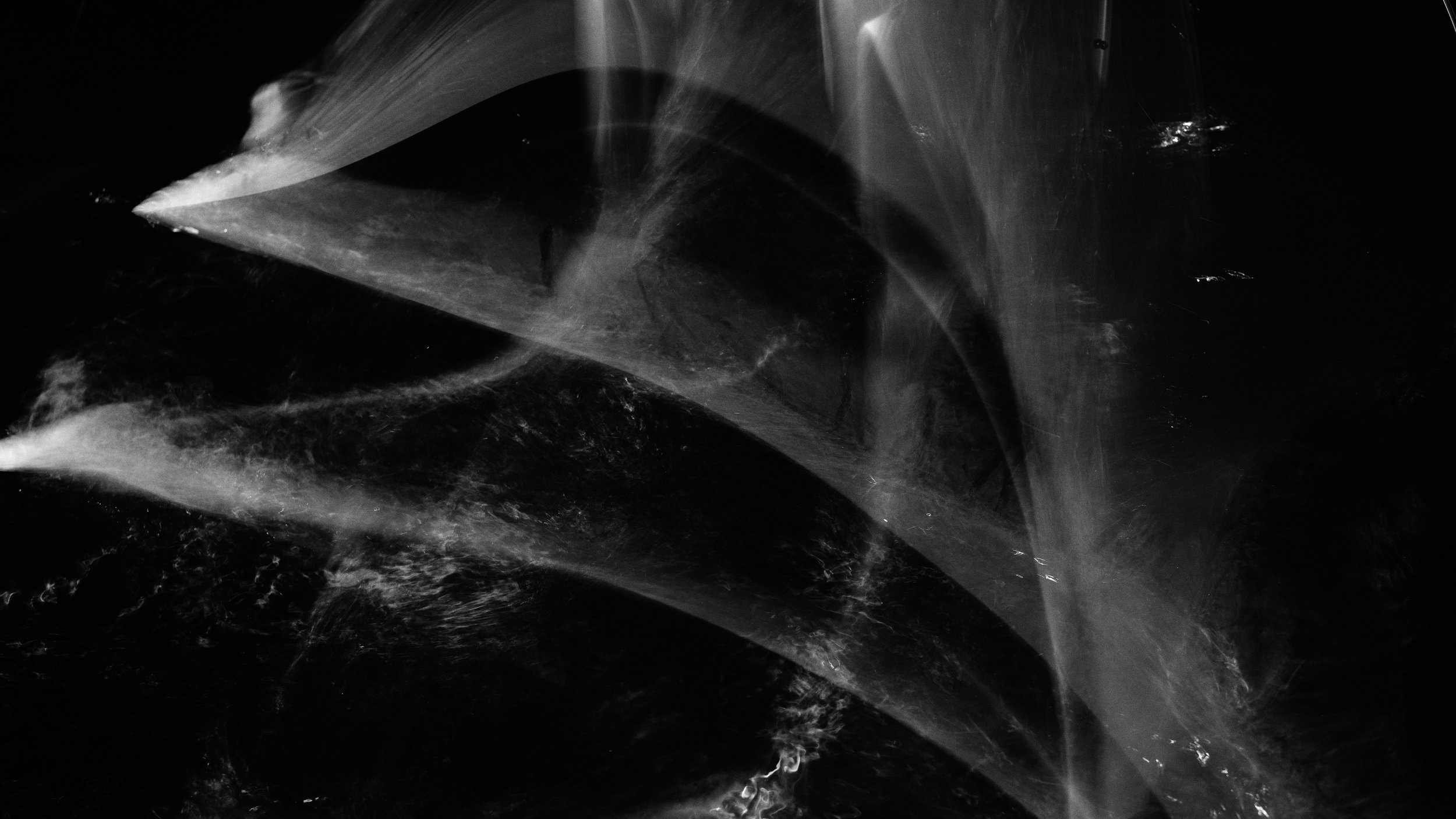 _DSF0145.jpg