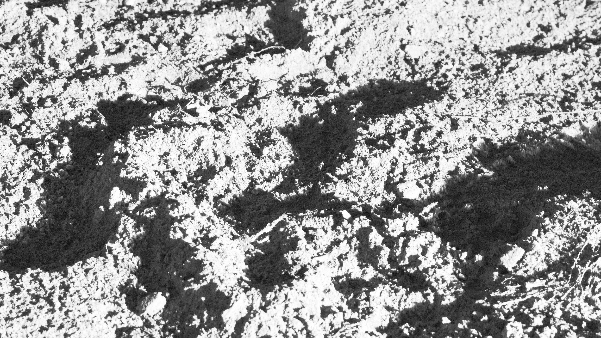 _DSF0163.1.jpg